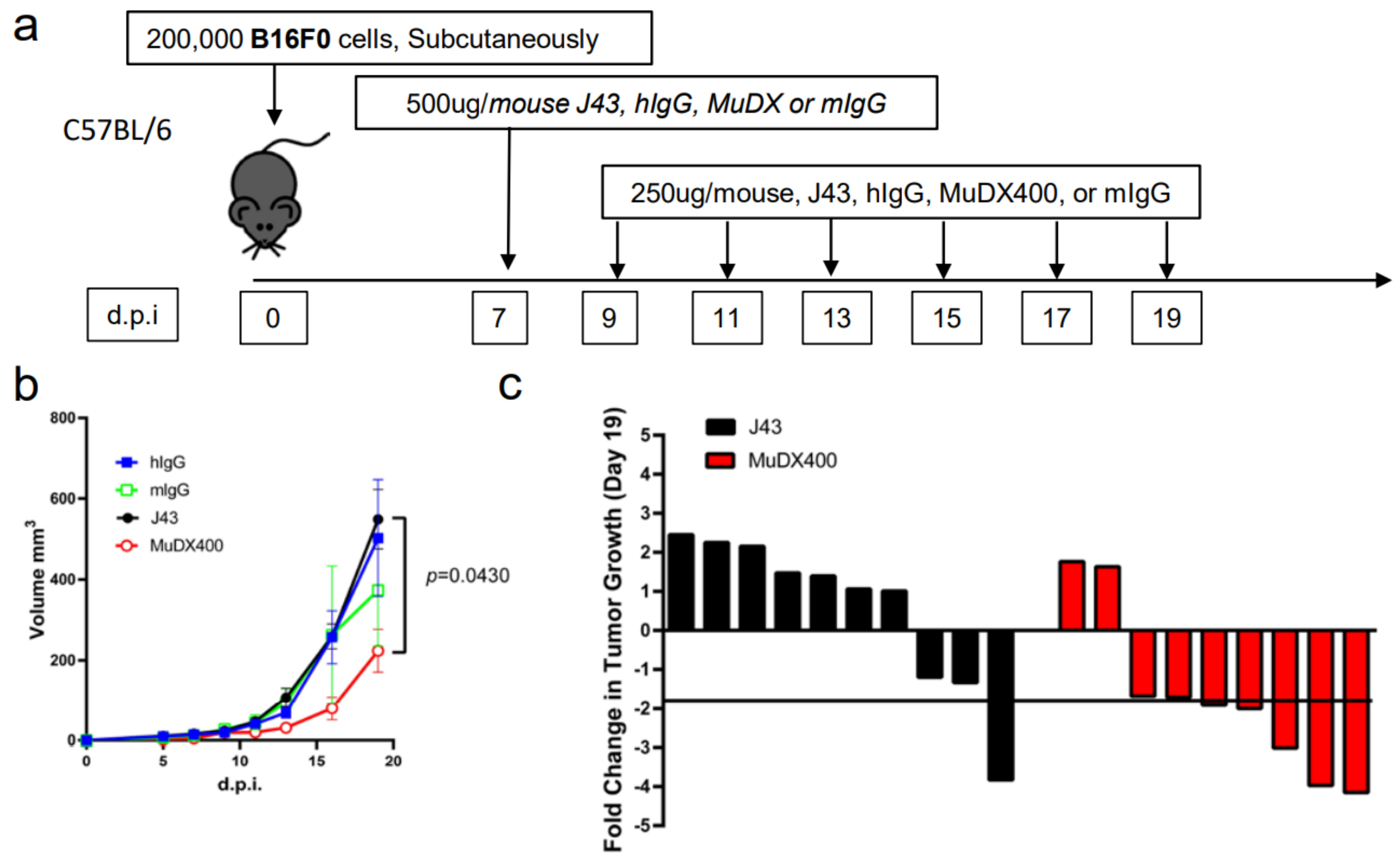 Cancers 13 00729 g003a Cancers 13 00729 g003a