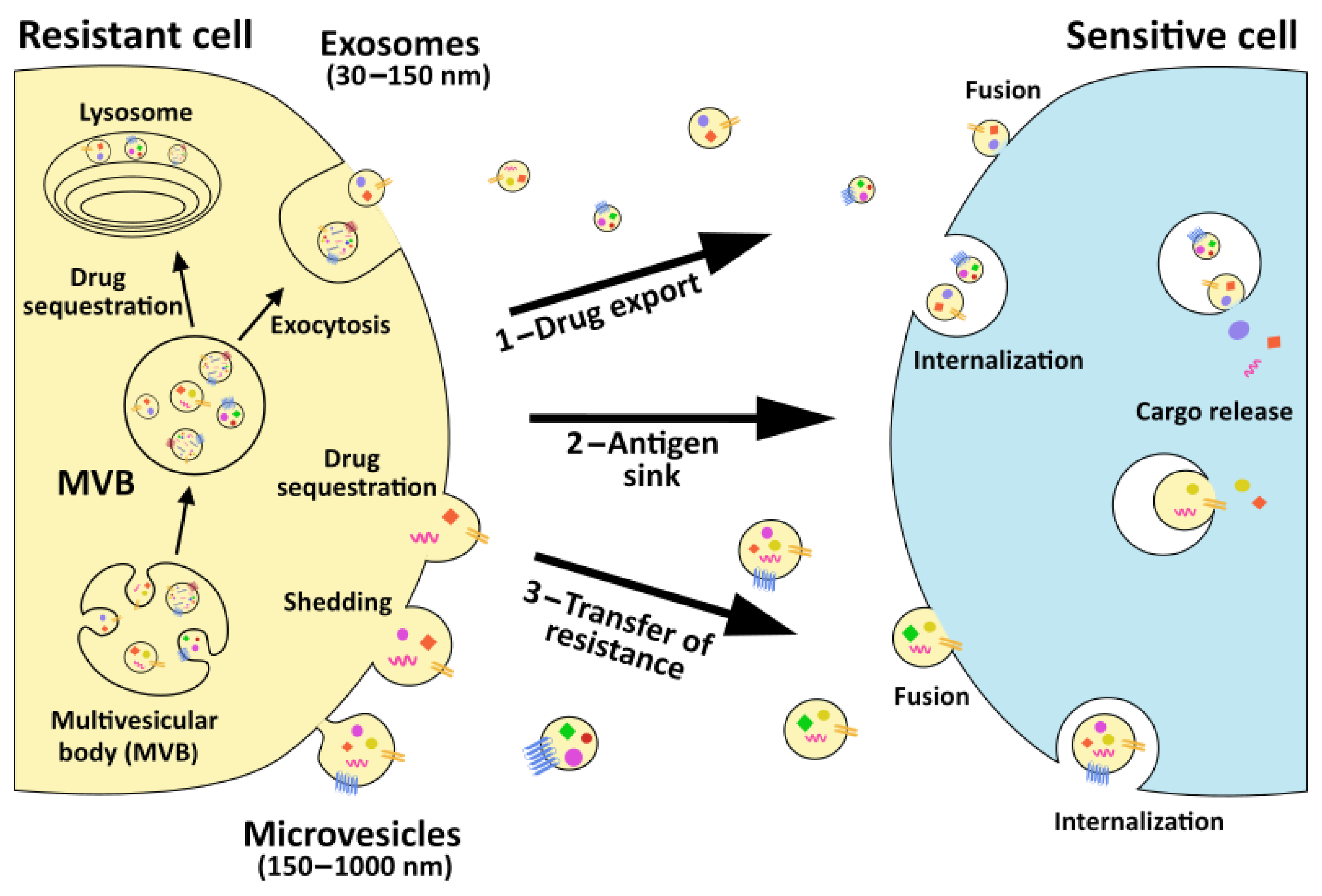Cancers 13 00749 g001