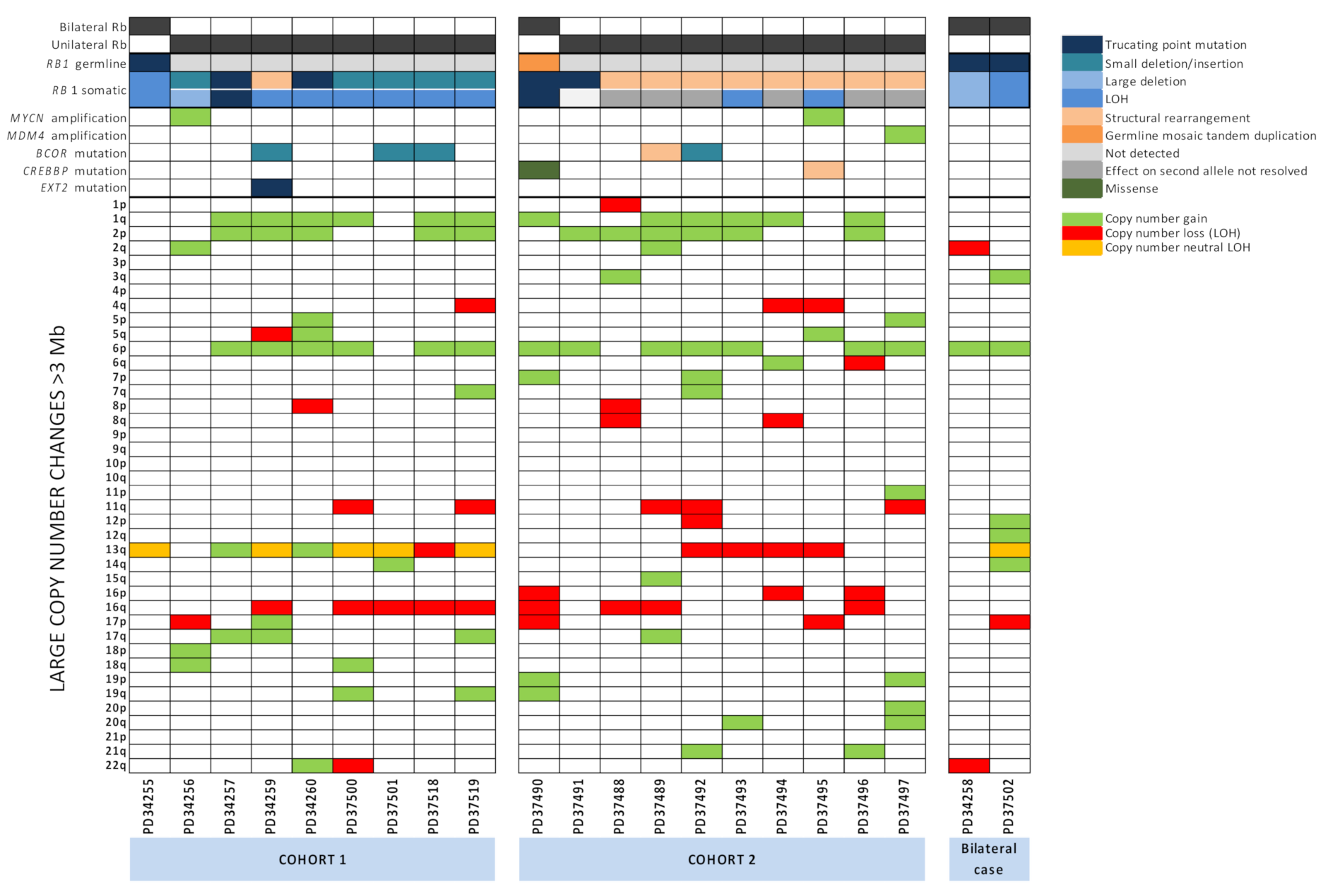 Cancers 13 00754 g001