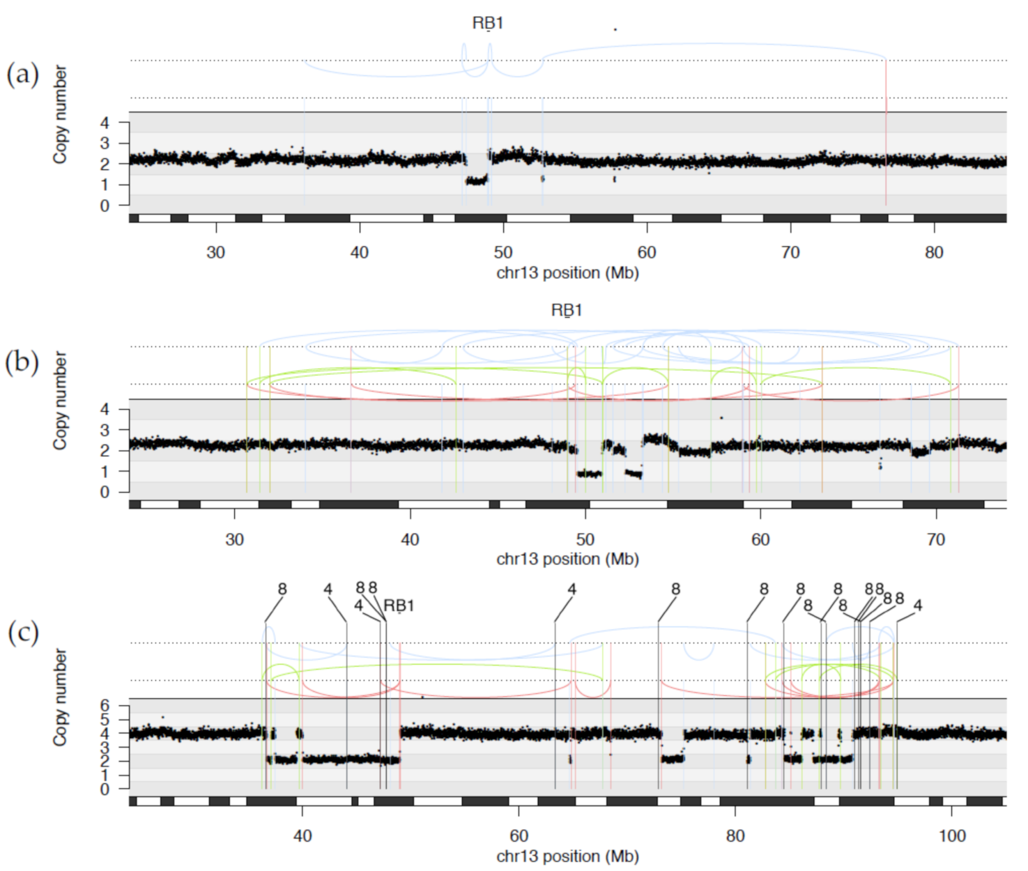 Cancers 13 00754 g002