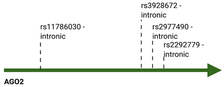 Cancers 13 00788 i002 Cancers 13 00788 i002