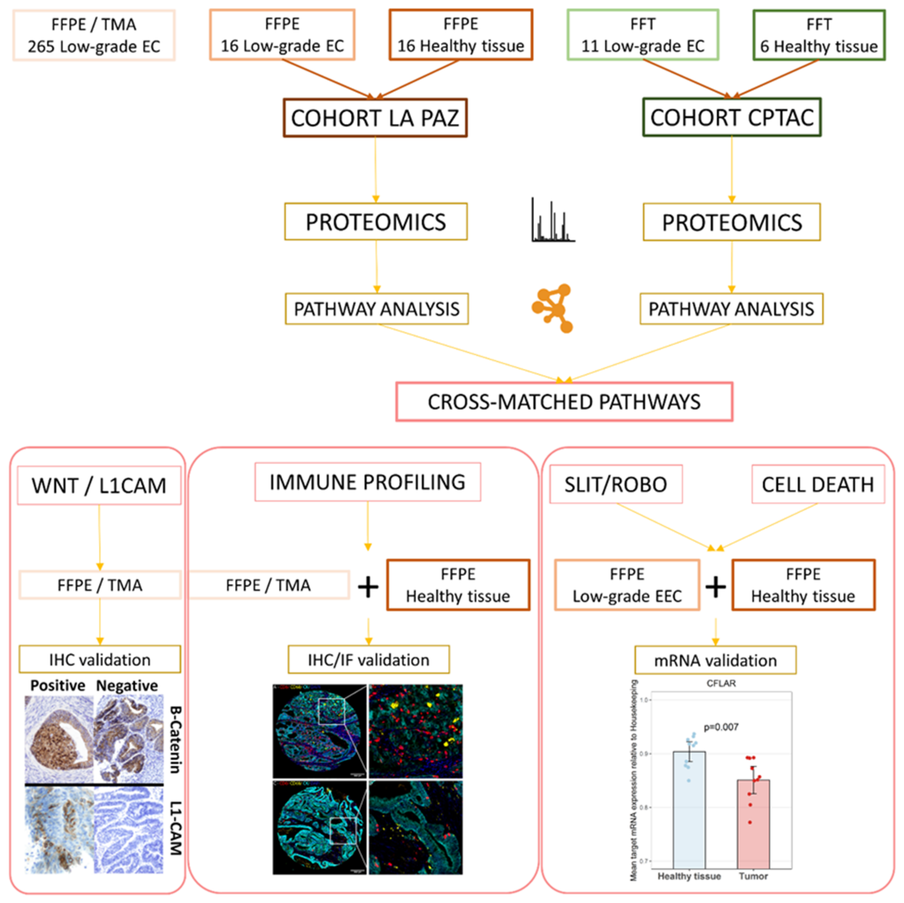 Cancers Free Full Text Proteomic Analysis of Low Grade Early