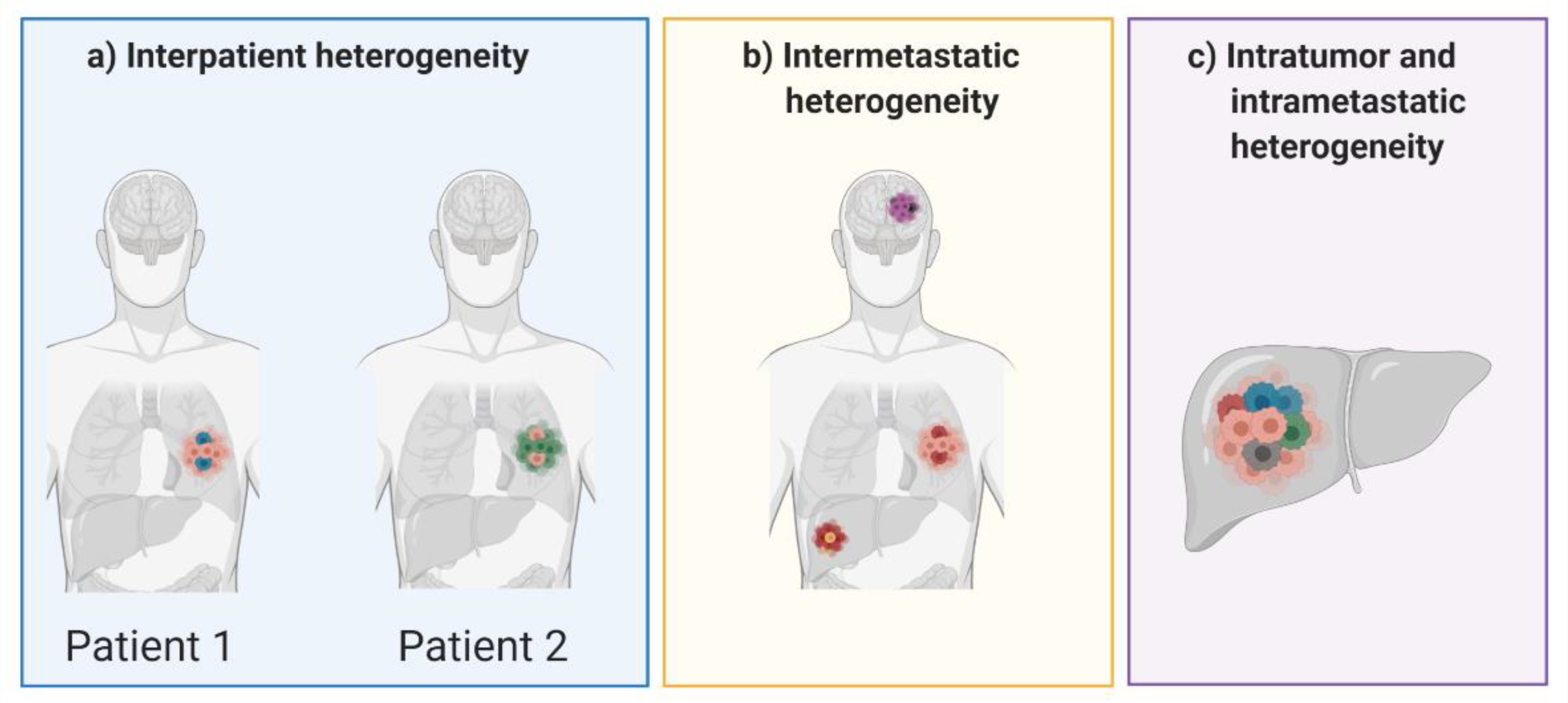 Cancers 13 00806 g002