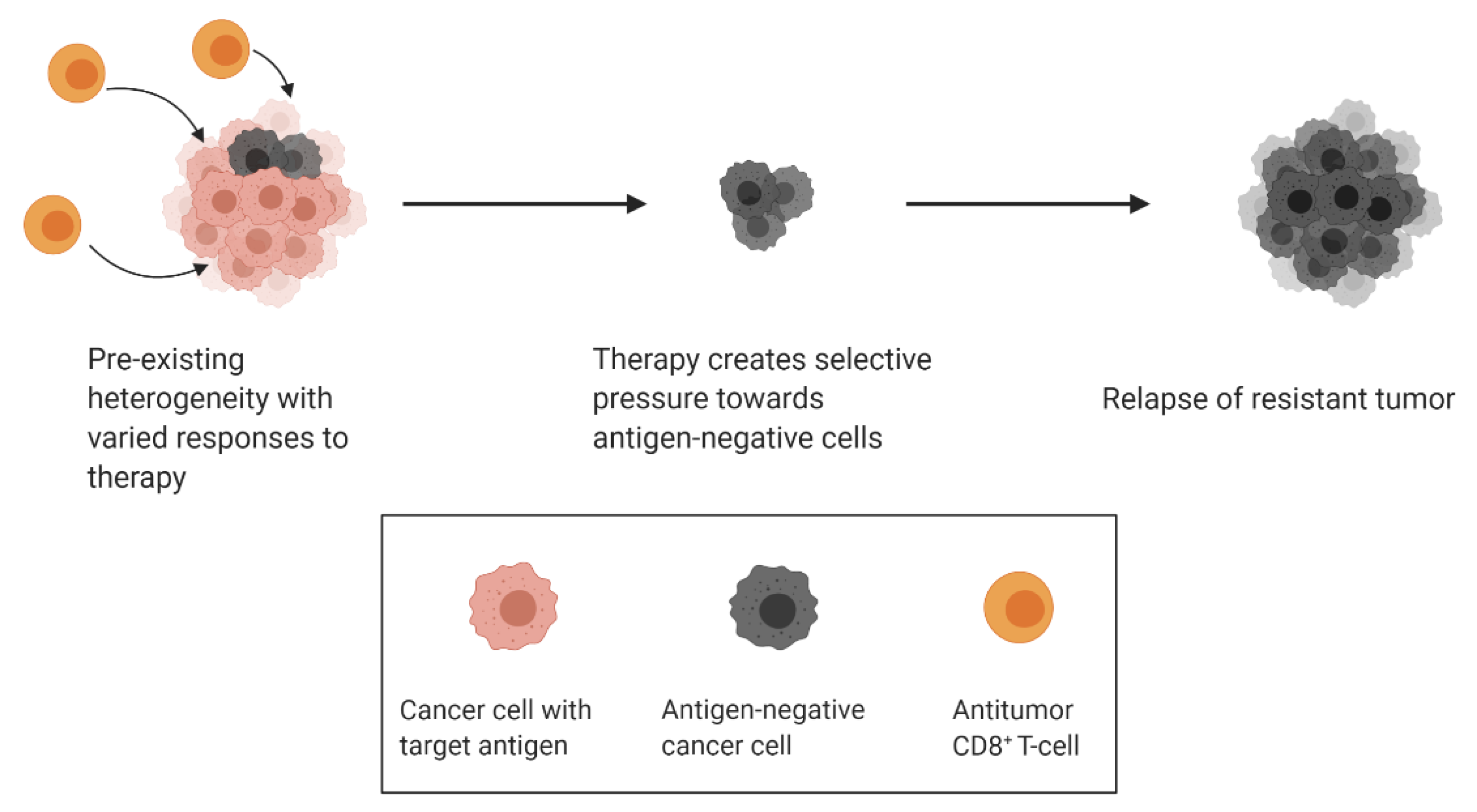 Cancers 13 00806 g003