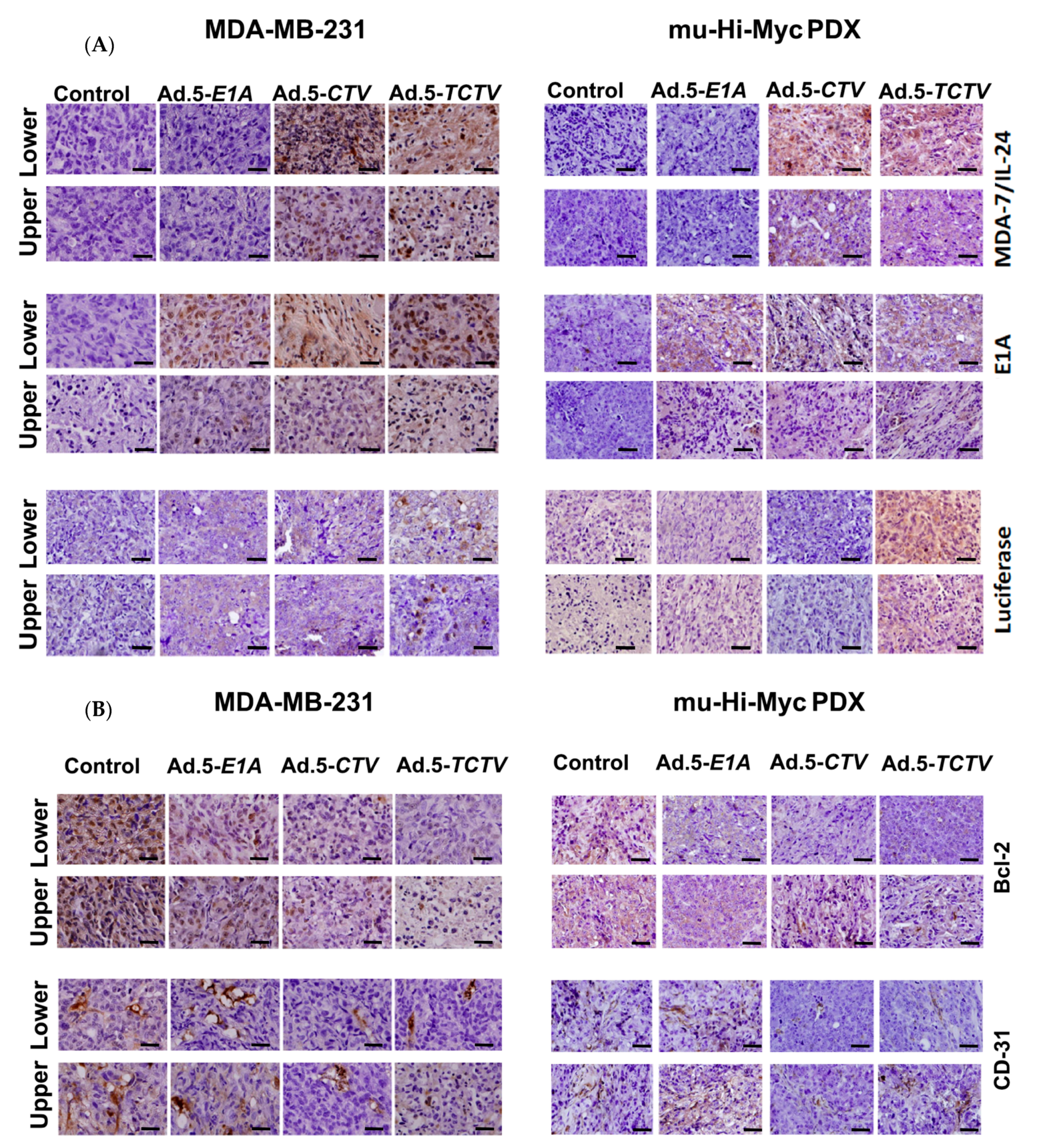 Cancers | Free Full-Text | Theranostic Tripartite Cancer