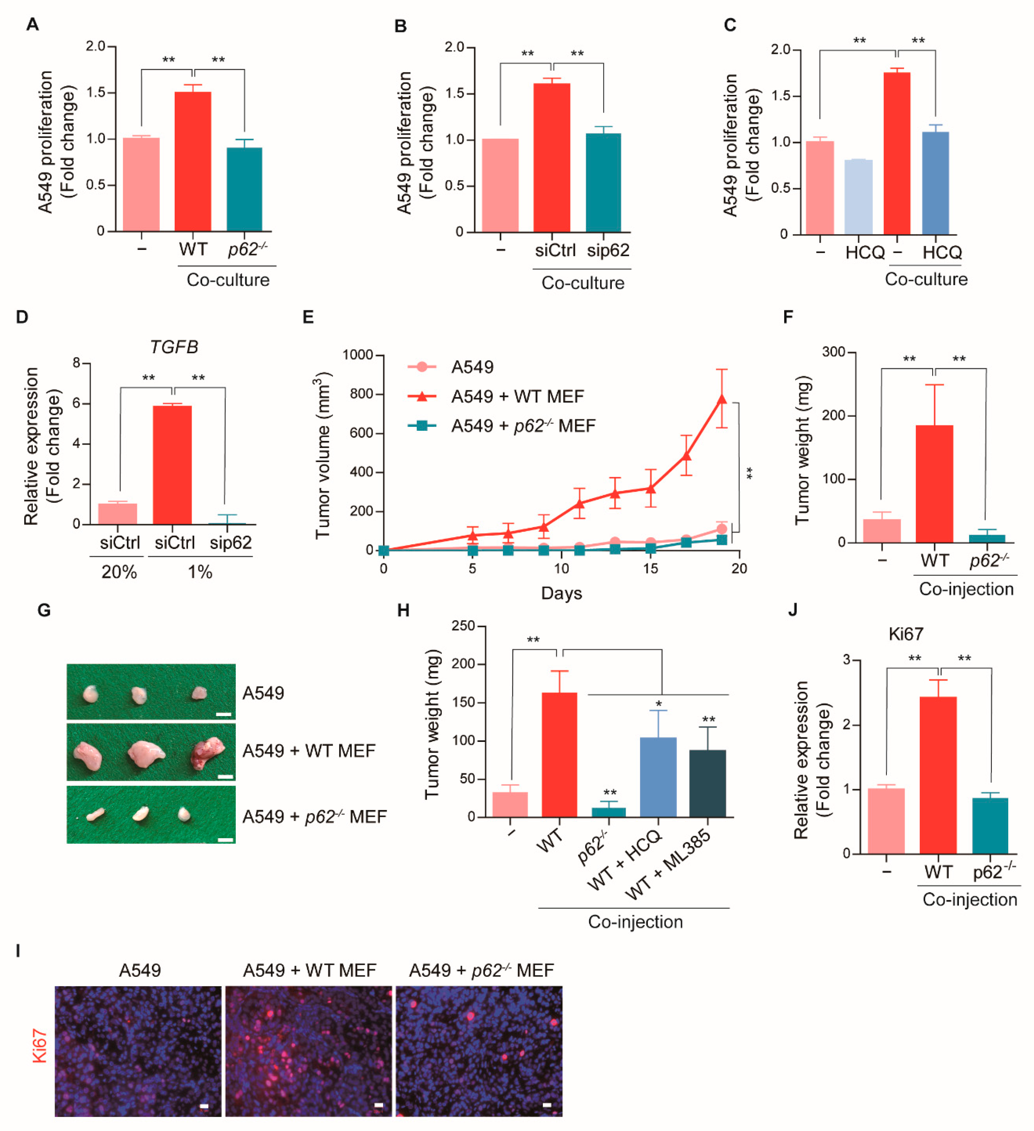 Cancers 13 00864 g003 Cancers 13 00864 g003