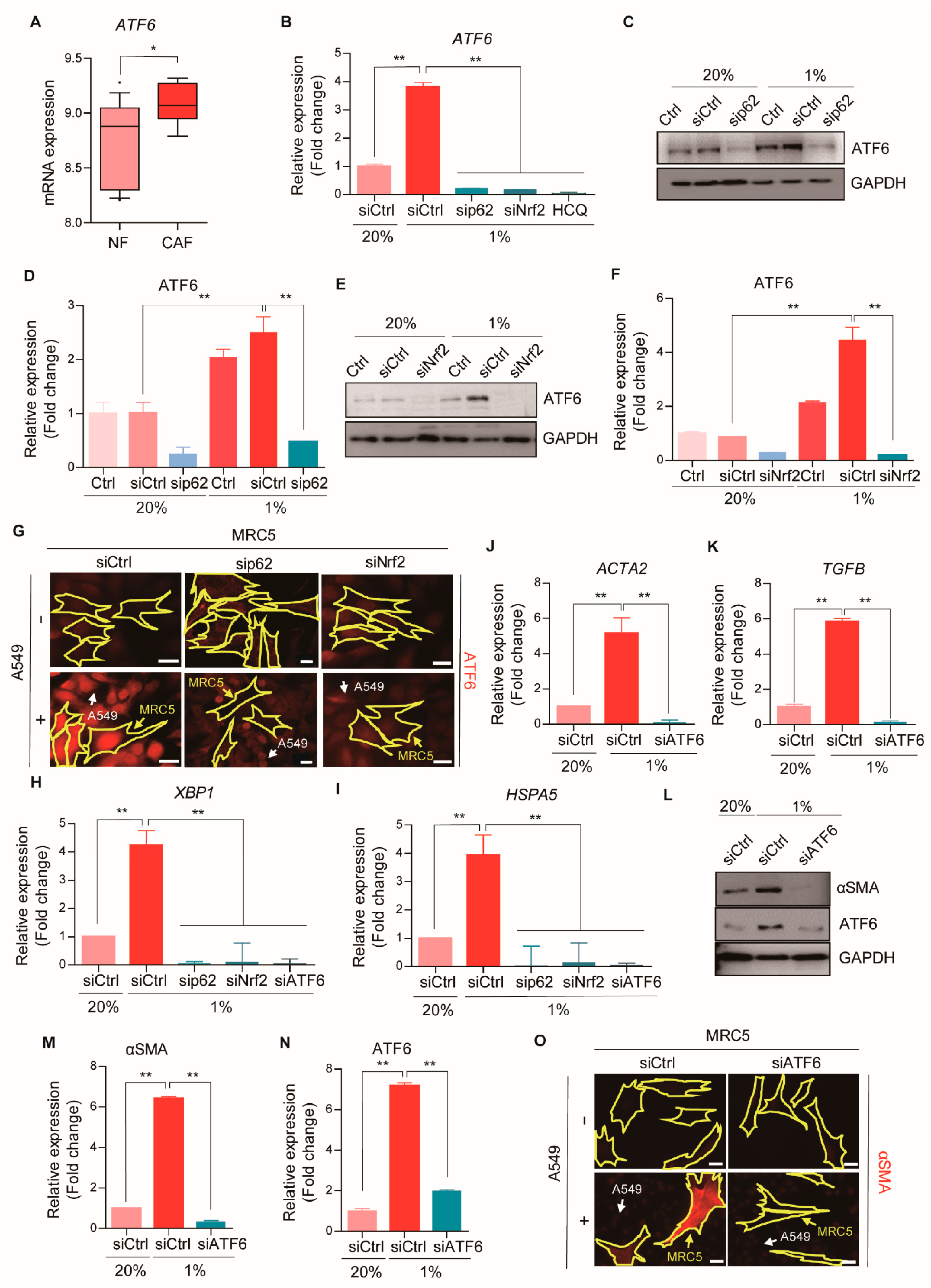 Cancers 13 00864 g006 Cancers 13 00864 g006
