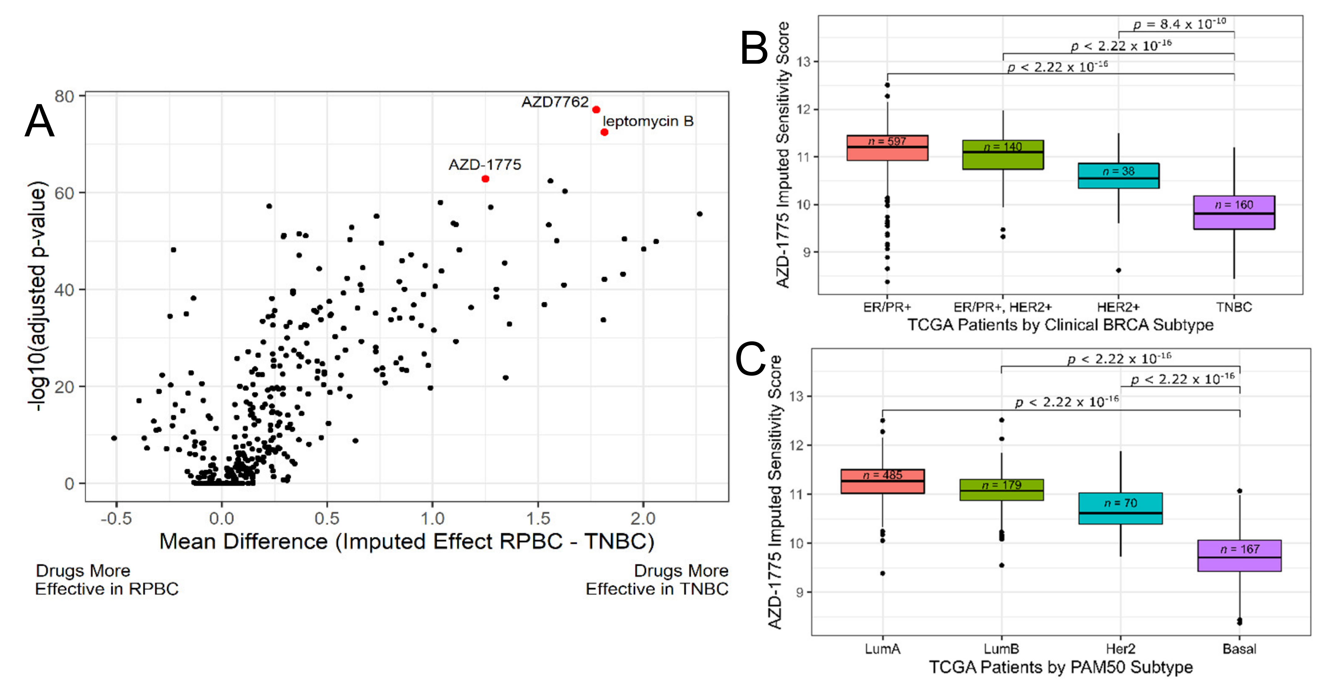 Cancers 13 00885 g001