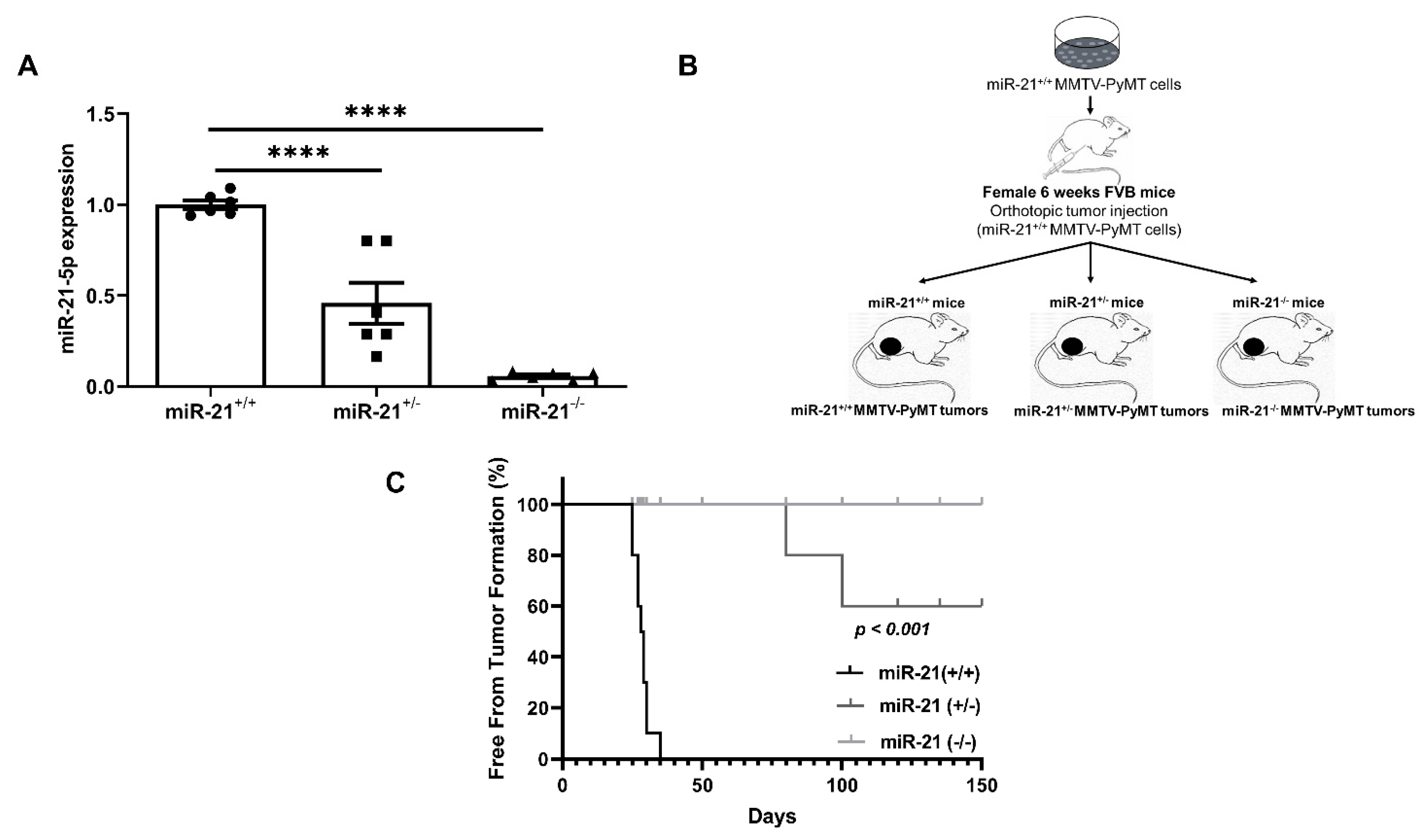 Cancers 13 00888 g002