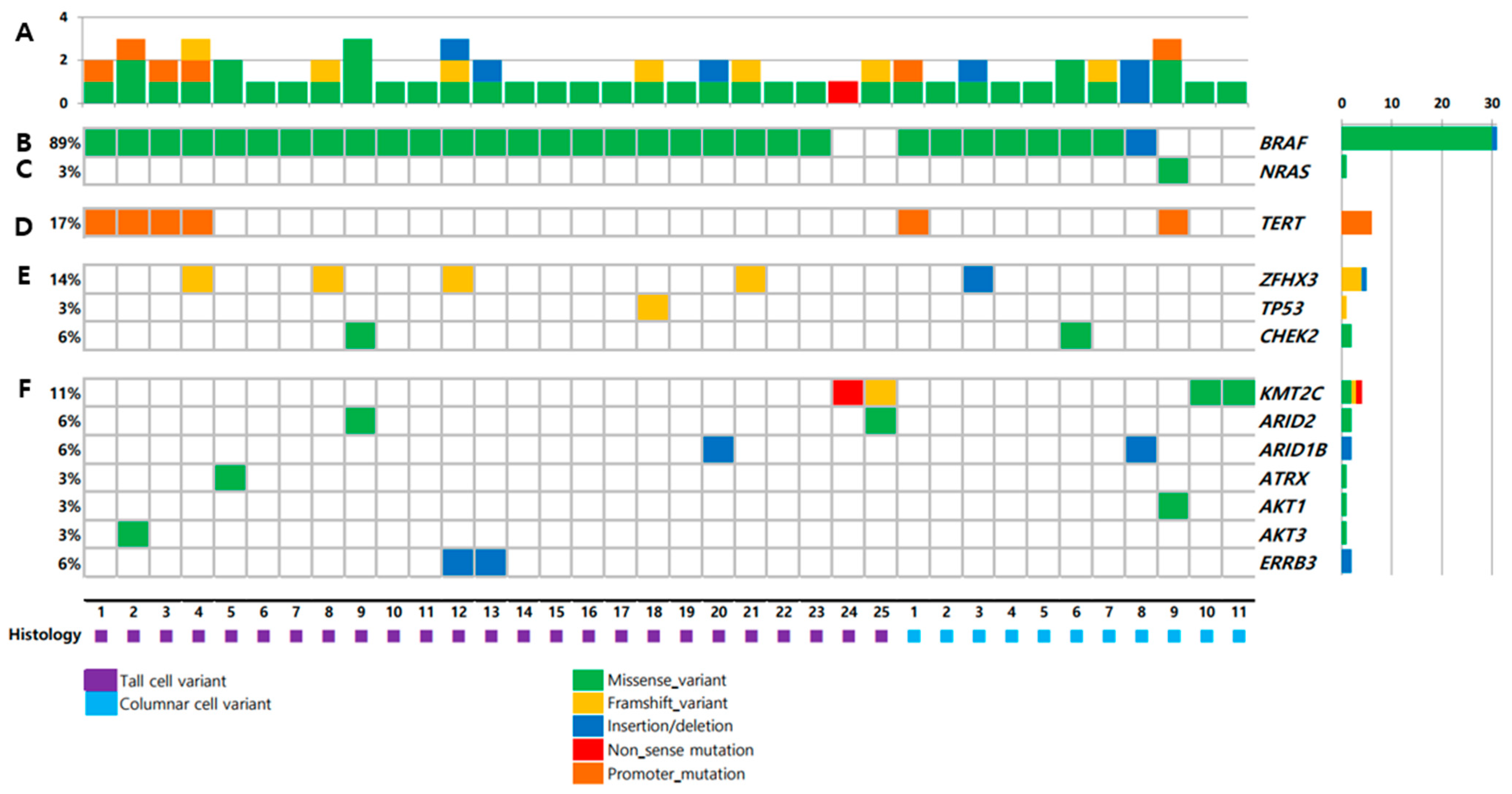 Cancers 13 00892 g001