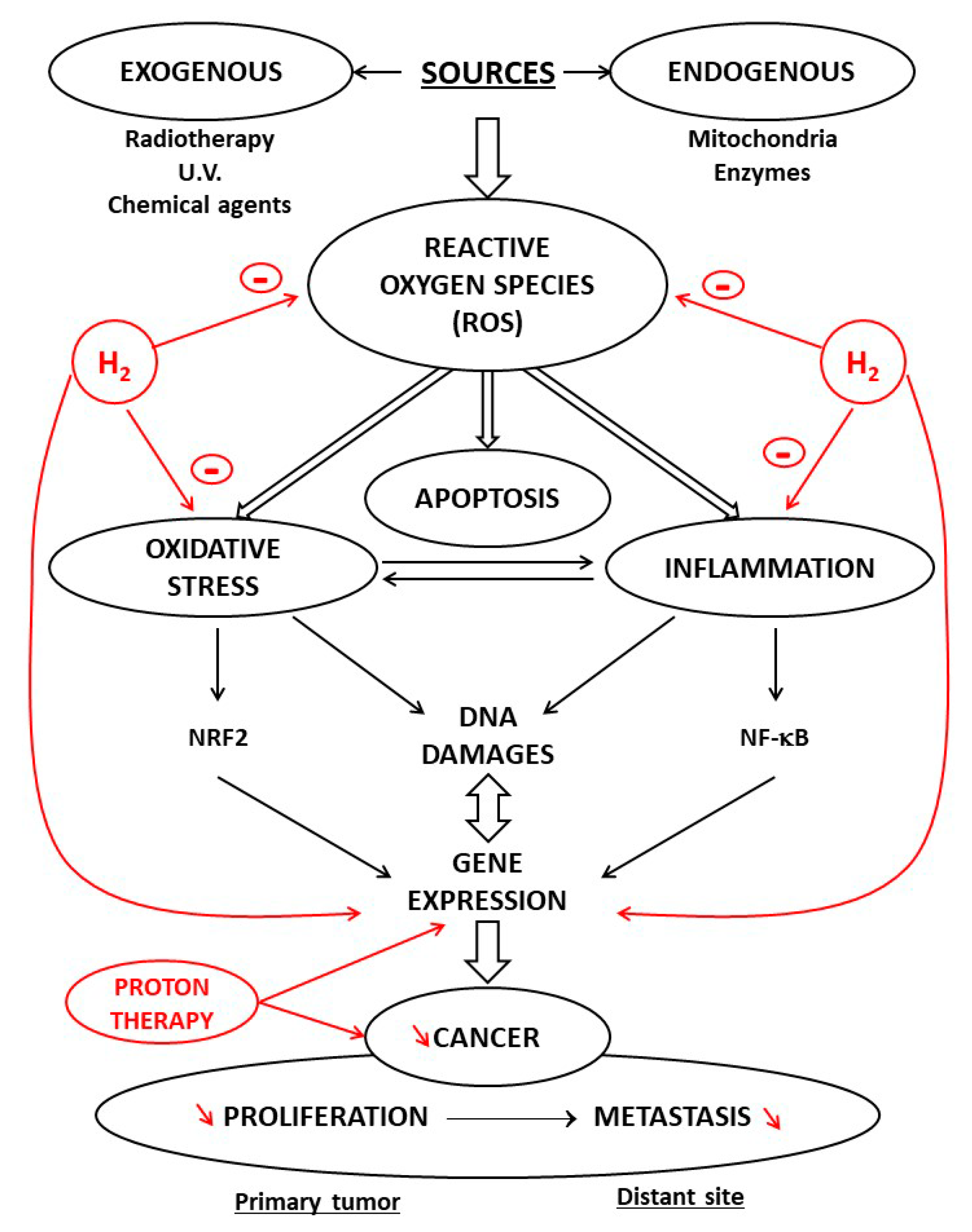 Cancers 13 00893 g002 Cancers 13 00893 g002