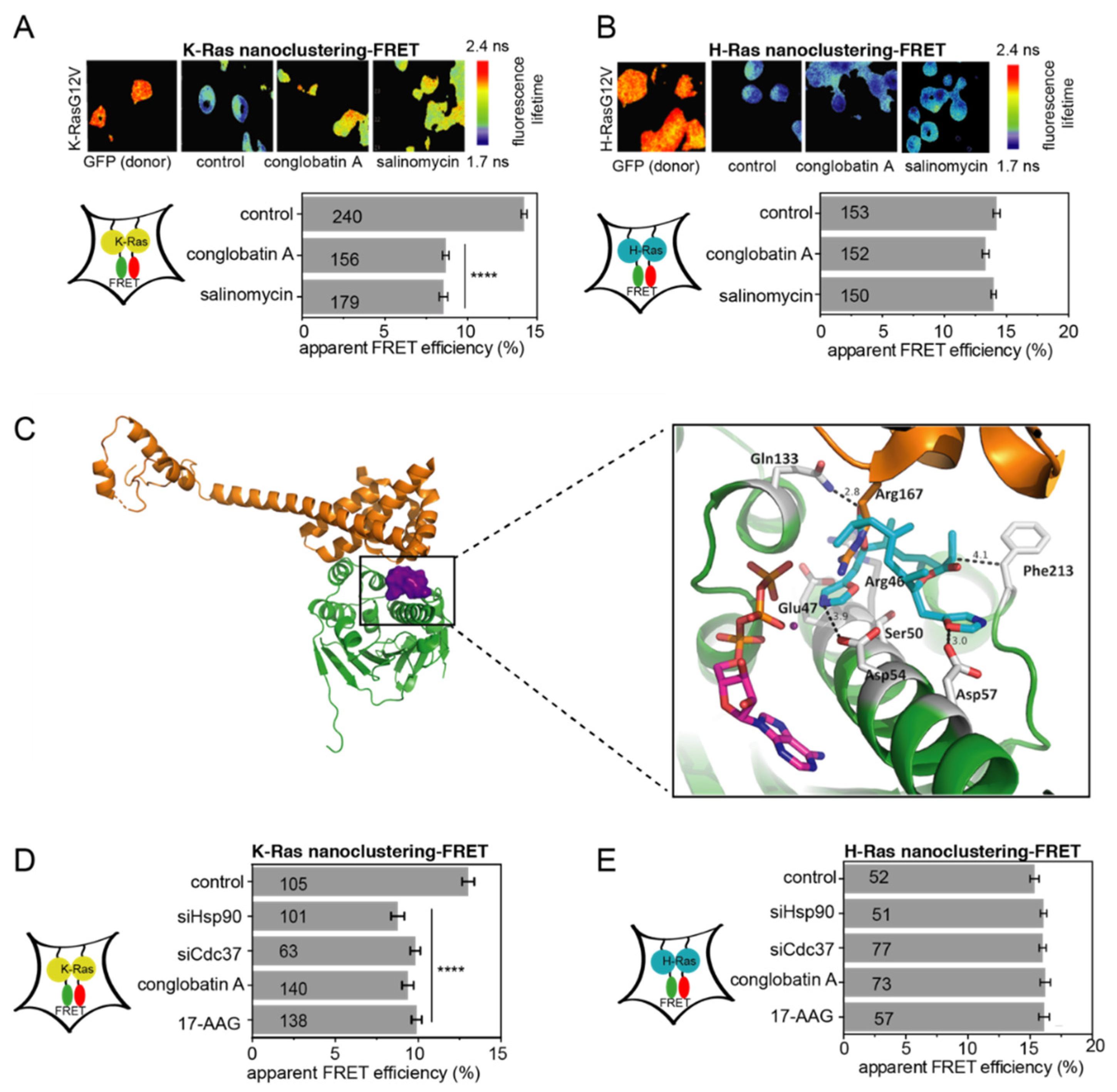 Cancers Free Full Text Novel Small Molecule Hsp90 Cdc37 Interface Inhibitors Indirectly Target K Ras Signaling Html