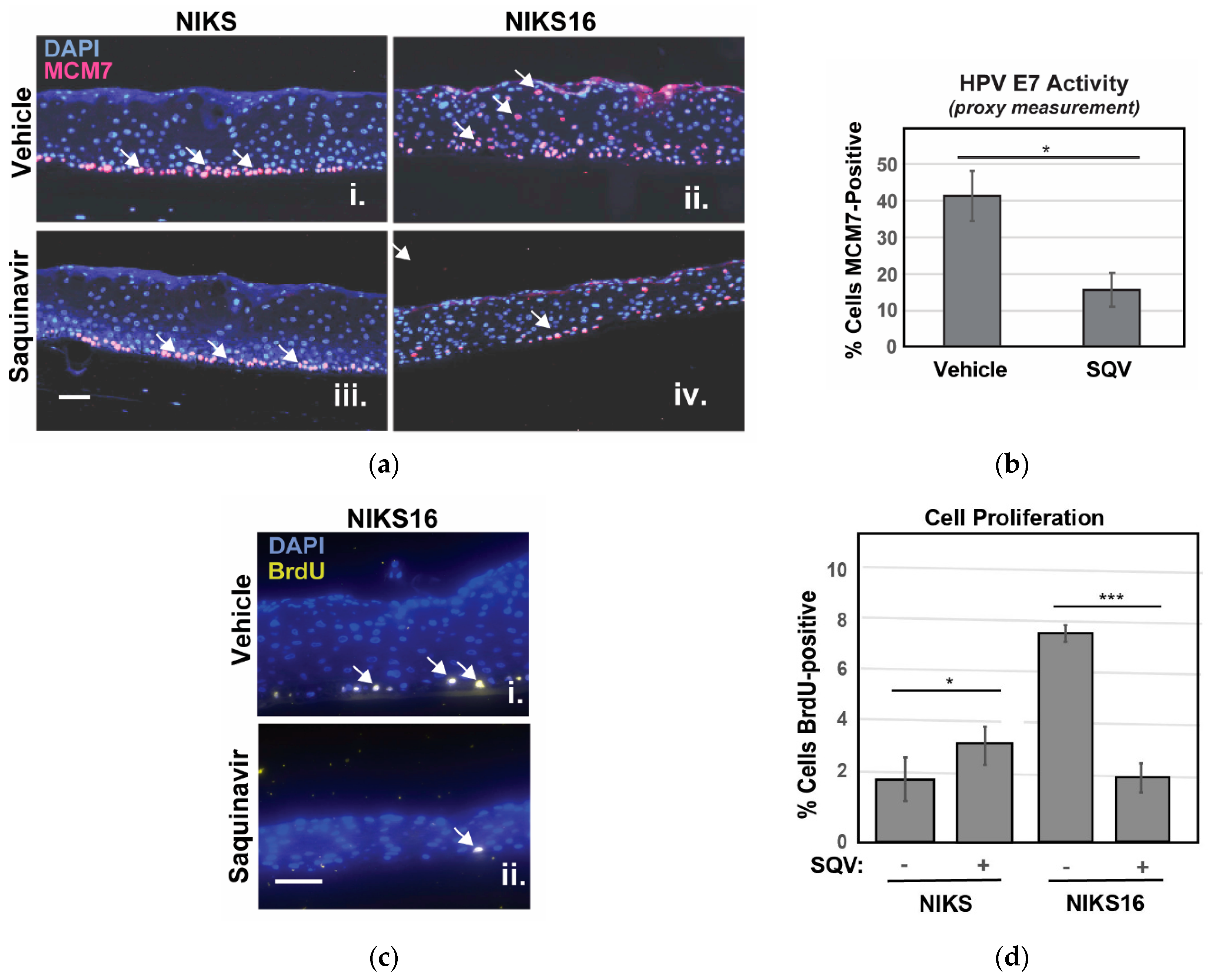 Cancers 13 00949 g005