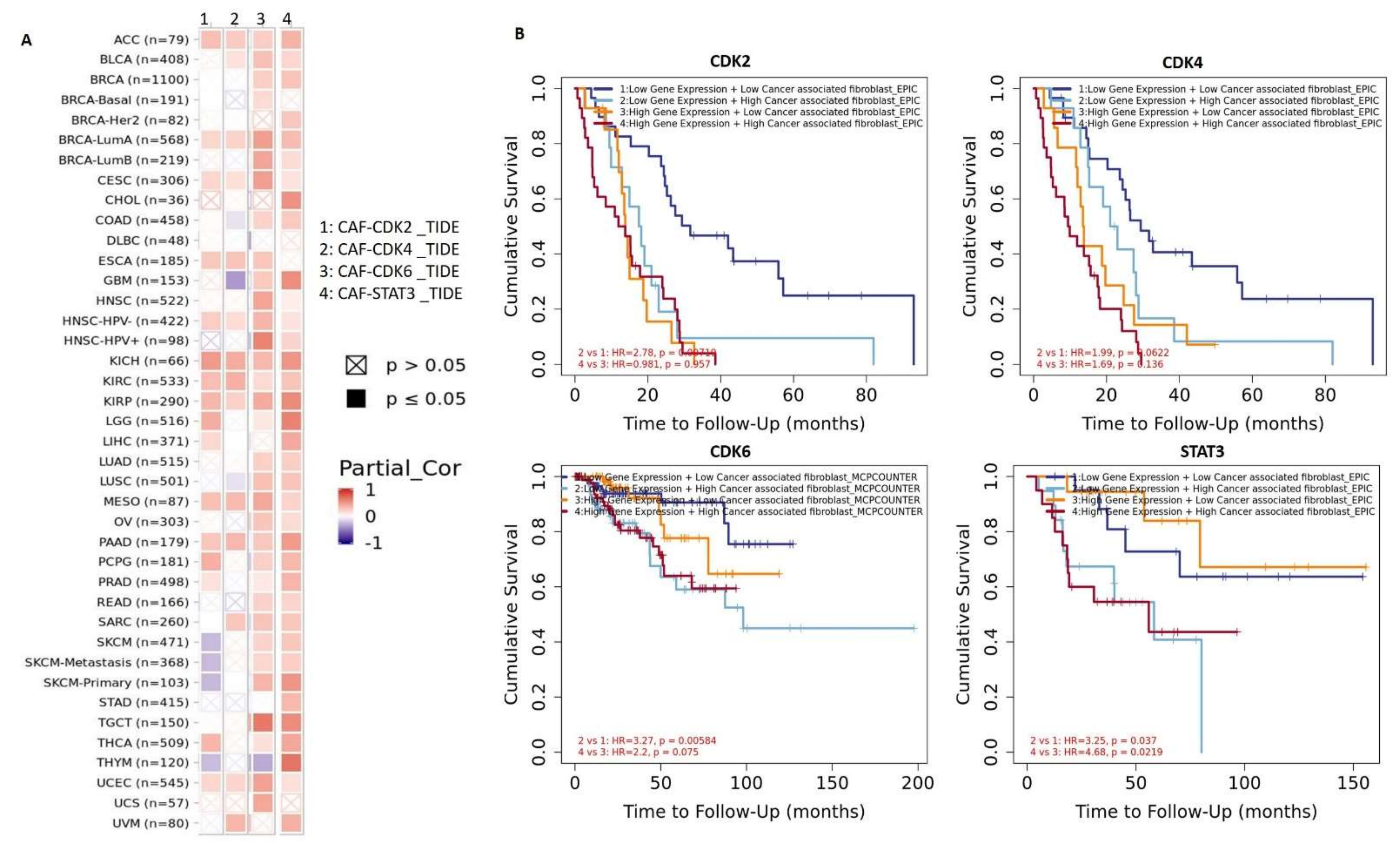 Cancers 13 00954 g006 Cancers 13 00954 g006