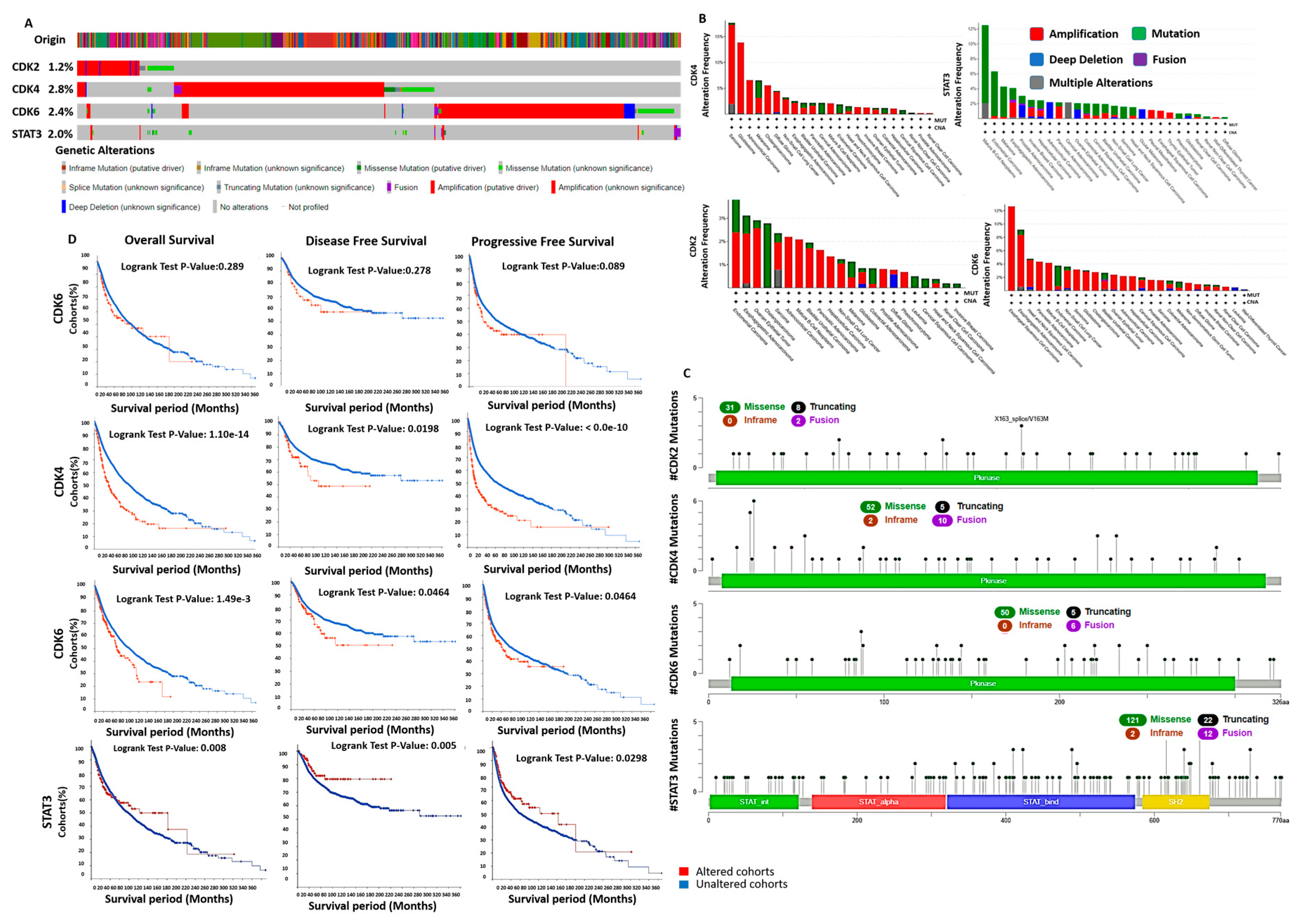 Cancers 13 00954 g007 Cancers 13 00954 g007