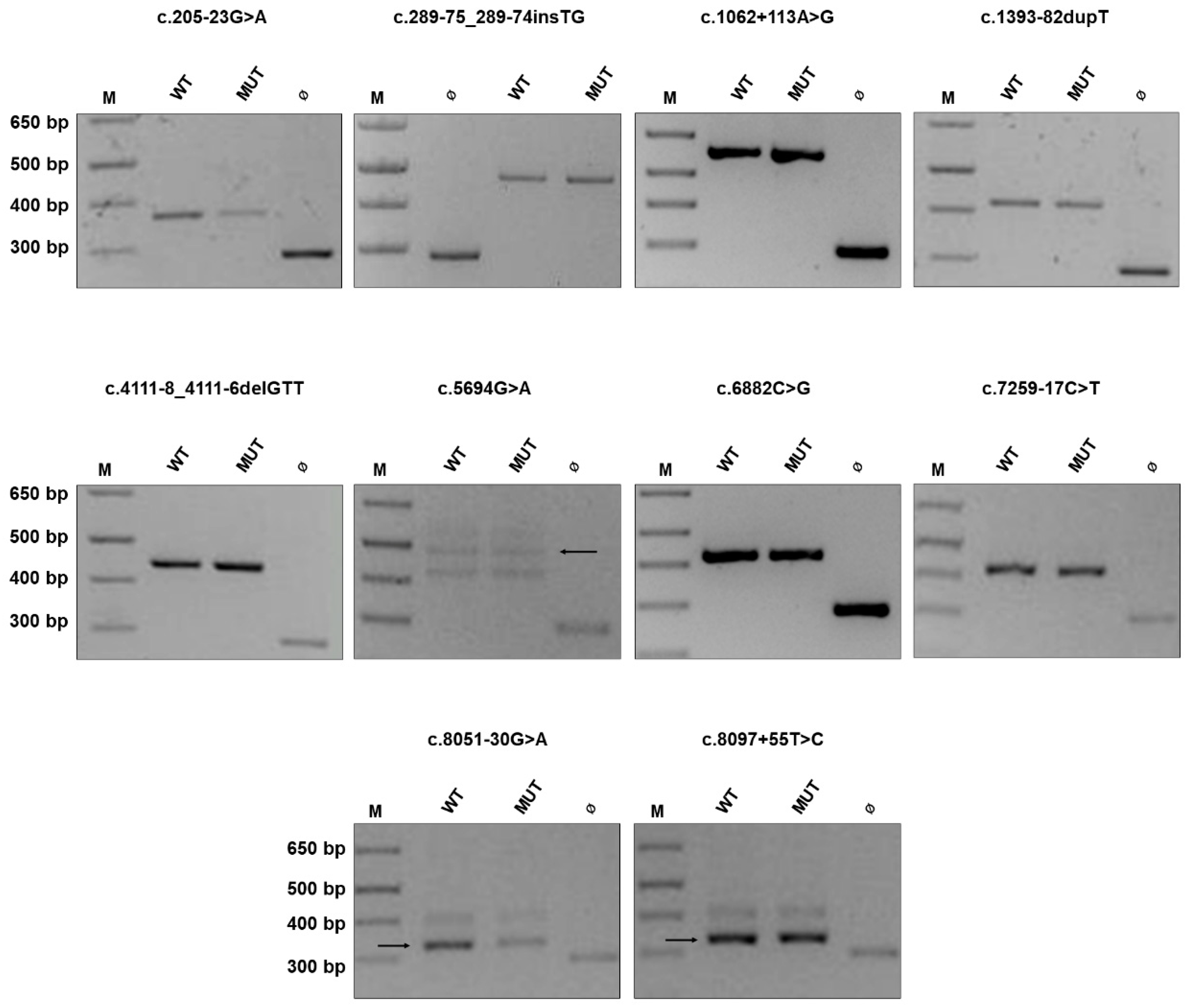 Cancers 13 00999 g001