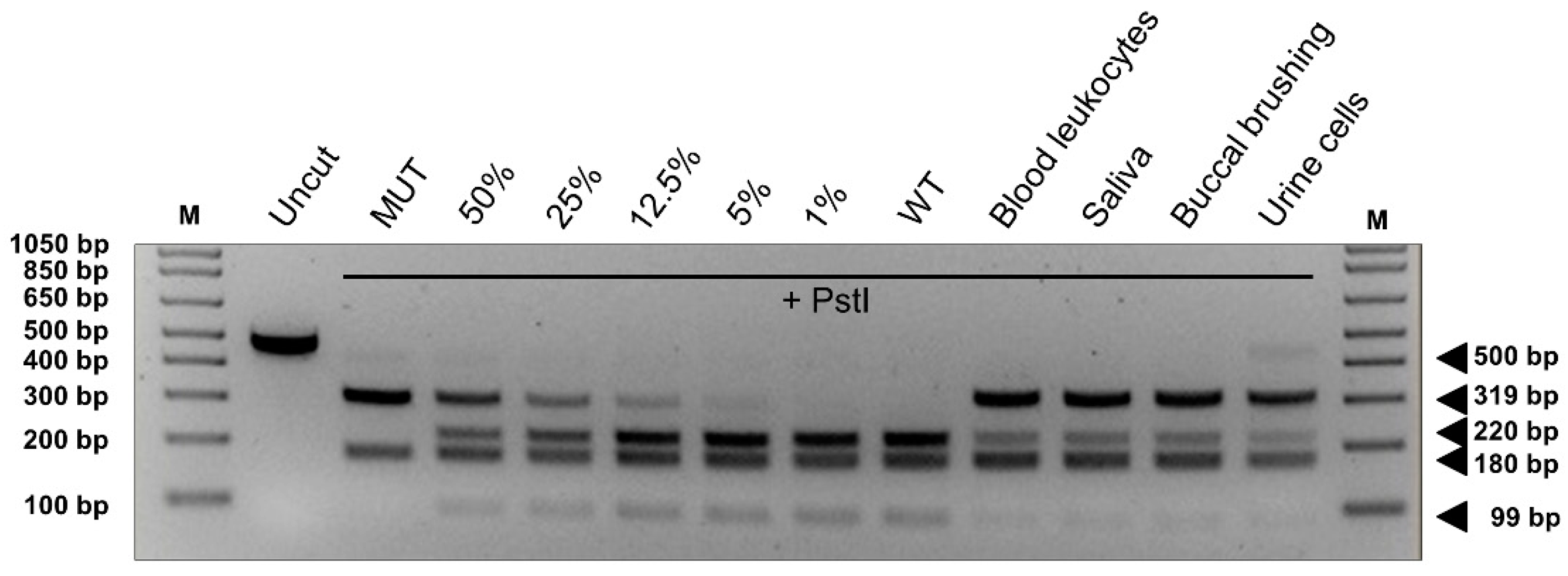 Cancers 13 00999 g004