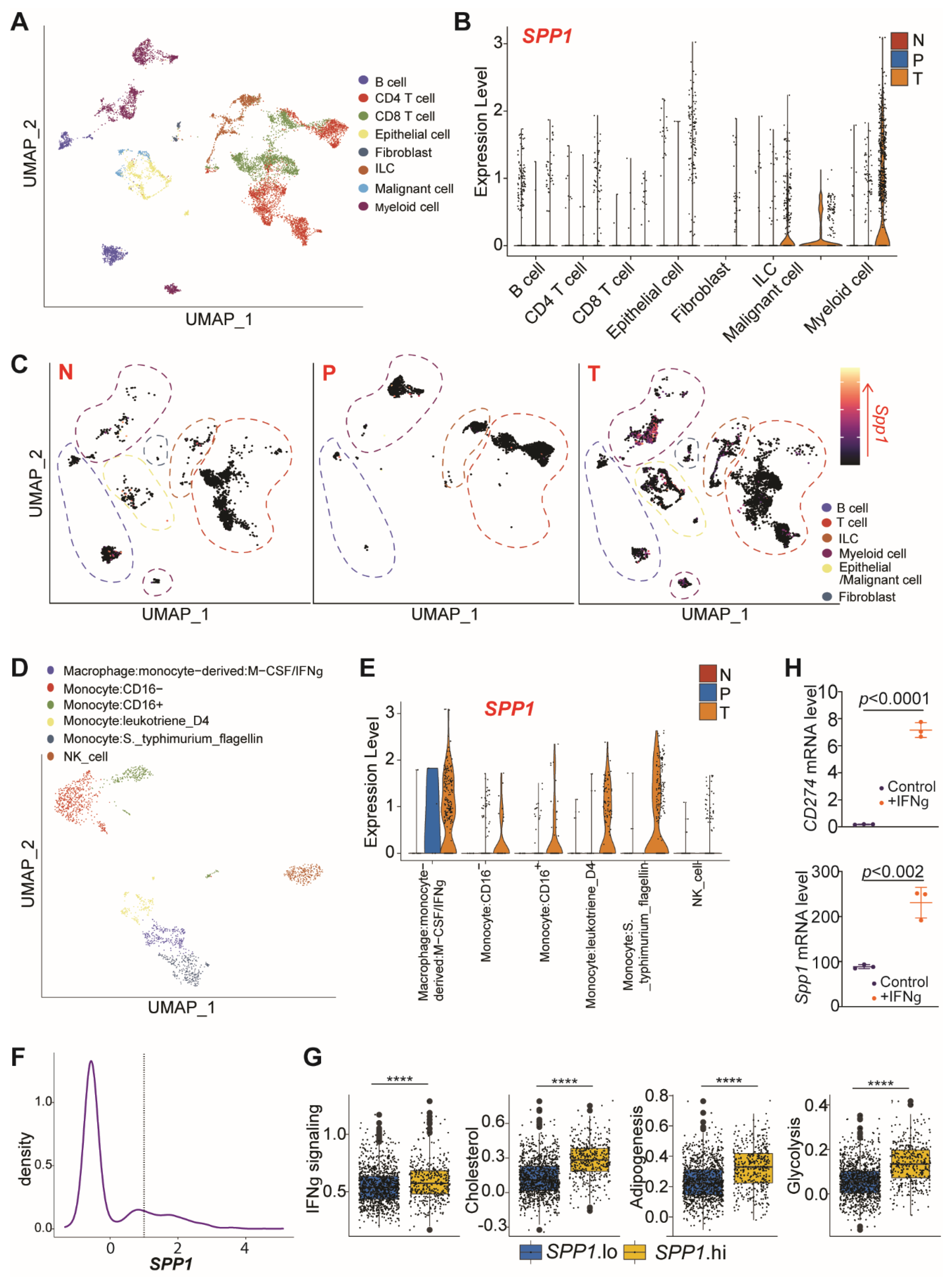 Cancers 13 01006 g002 Cancers 13 01006 g002