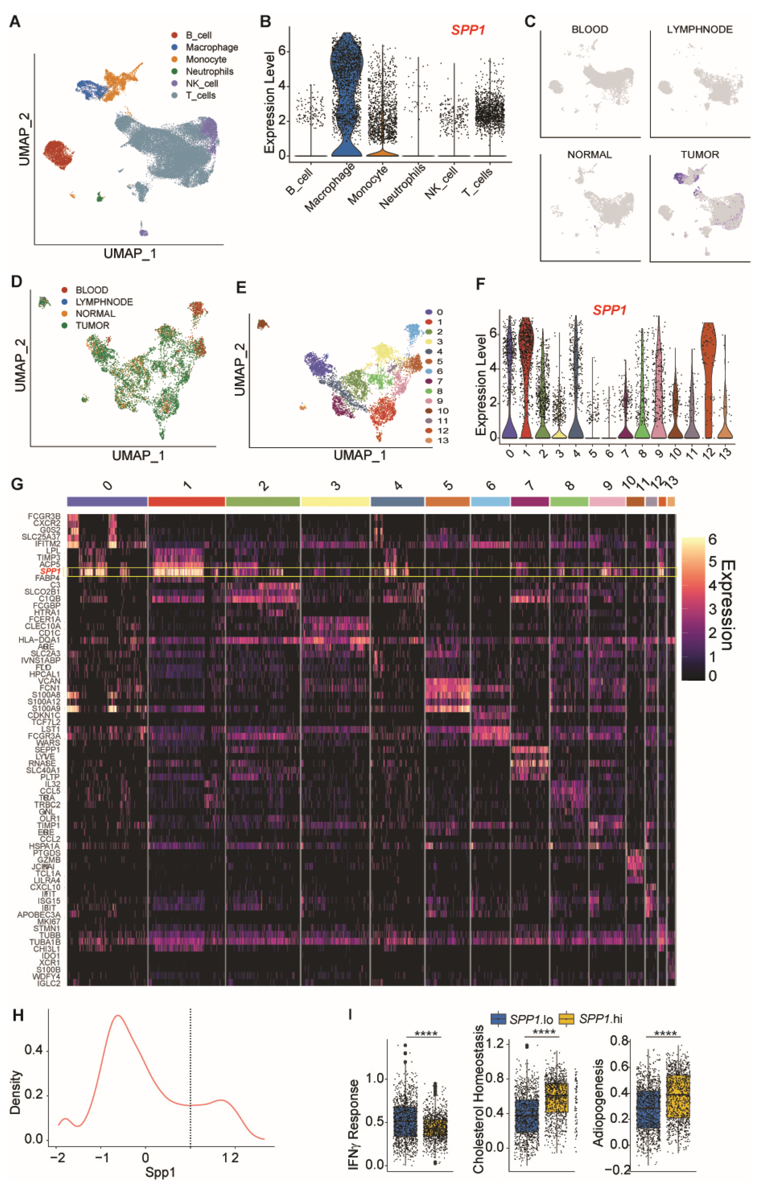 Cancers 13 01006 g003 Cancers 13 01006 g003