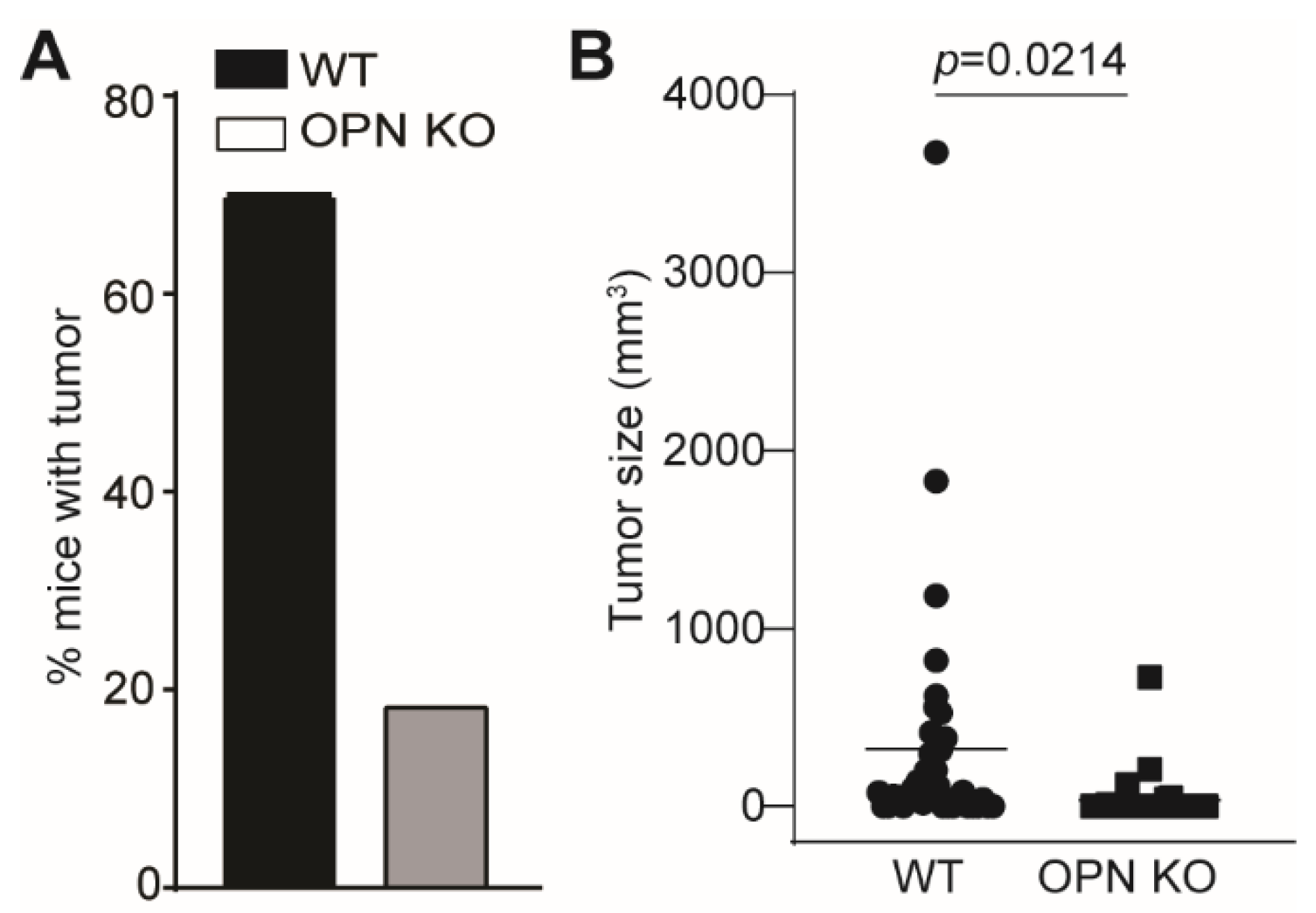 Cancers 13 01006 g004 Cancers 13 01006 g004