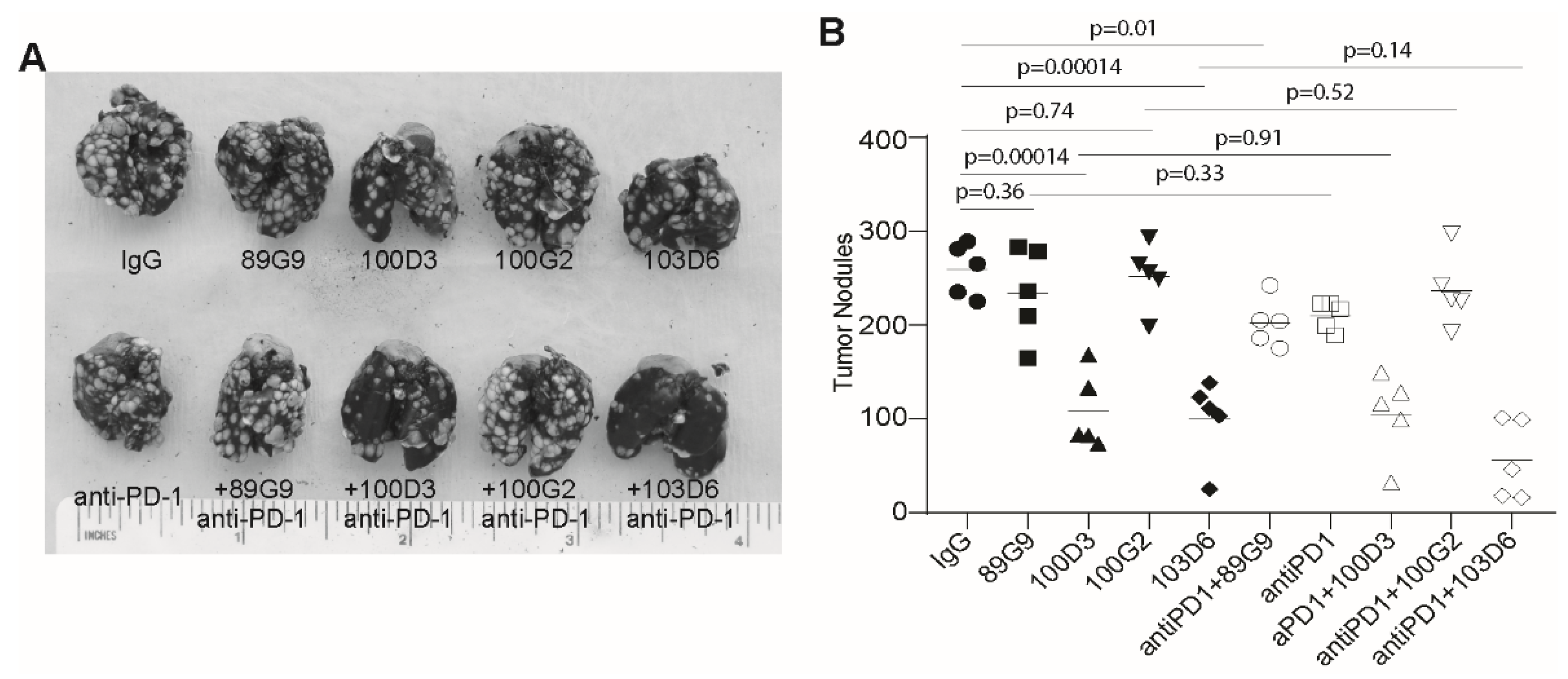 Cancers 13 01006 g007 Cancers 13 01006 g007