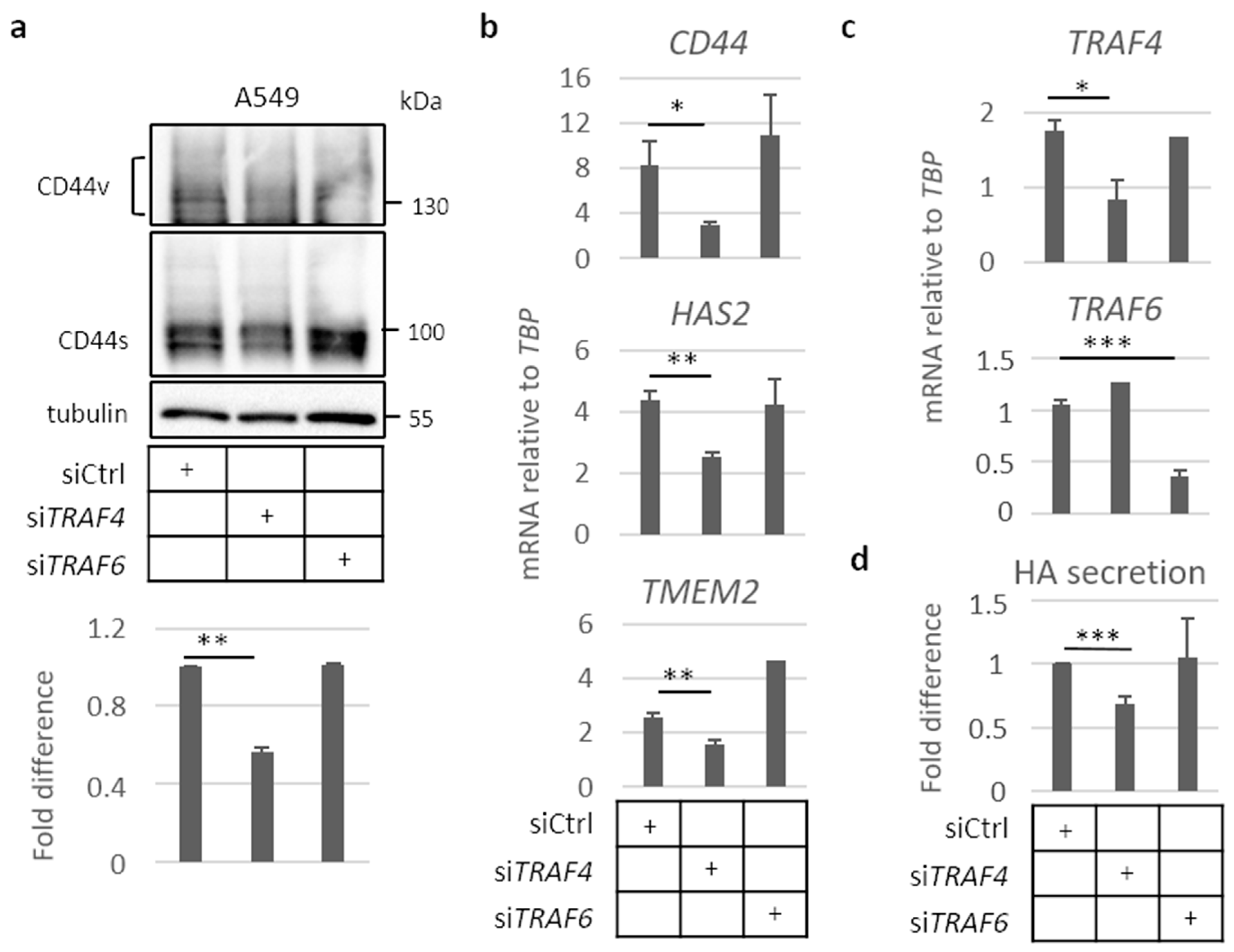 Cancers 13 01021 g004