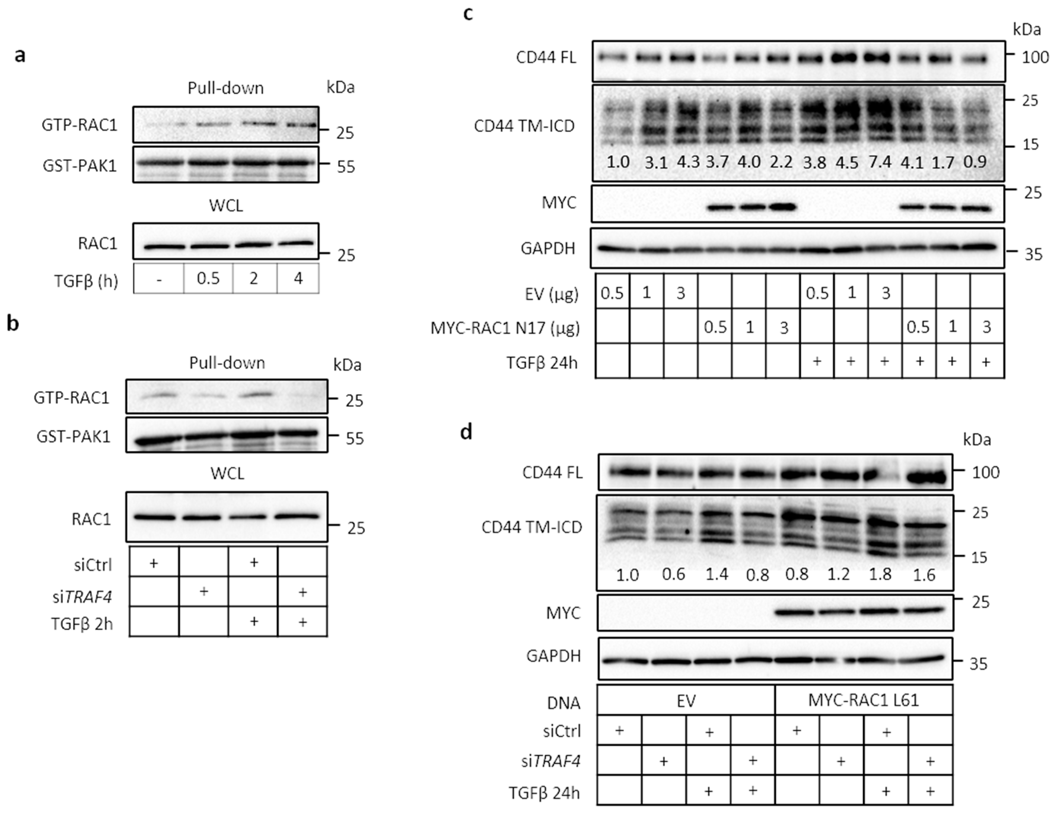 Cancers 13 01021 g005
