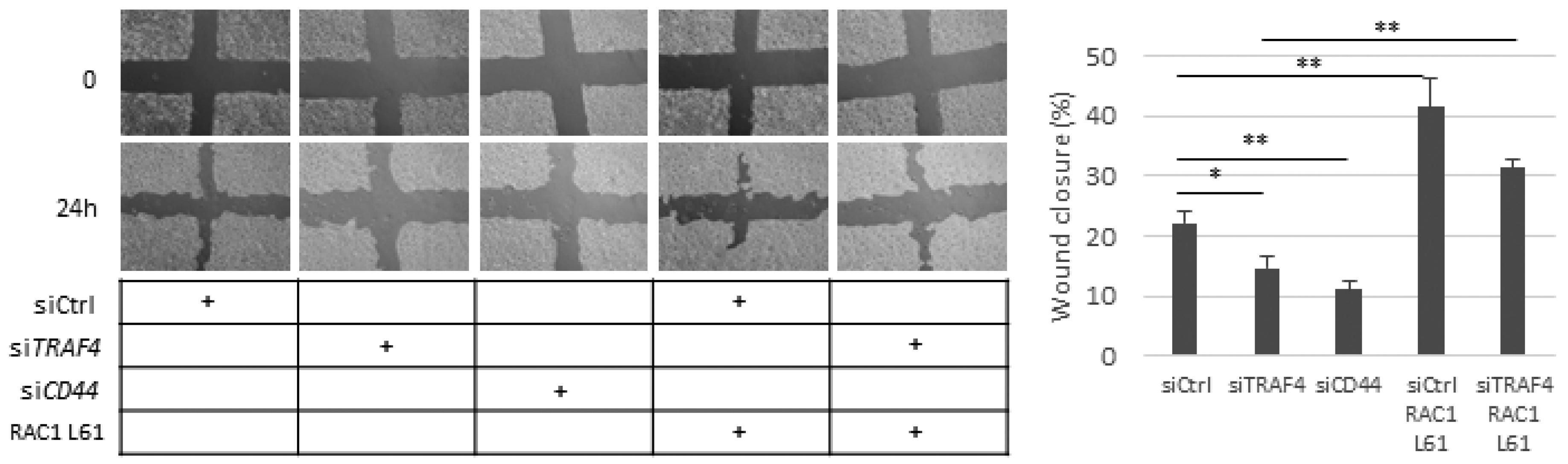 Cancers 13 01021 g006