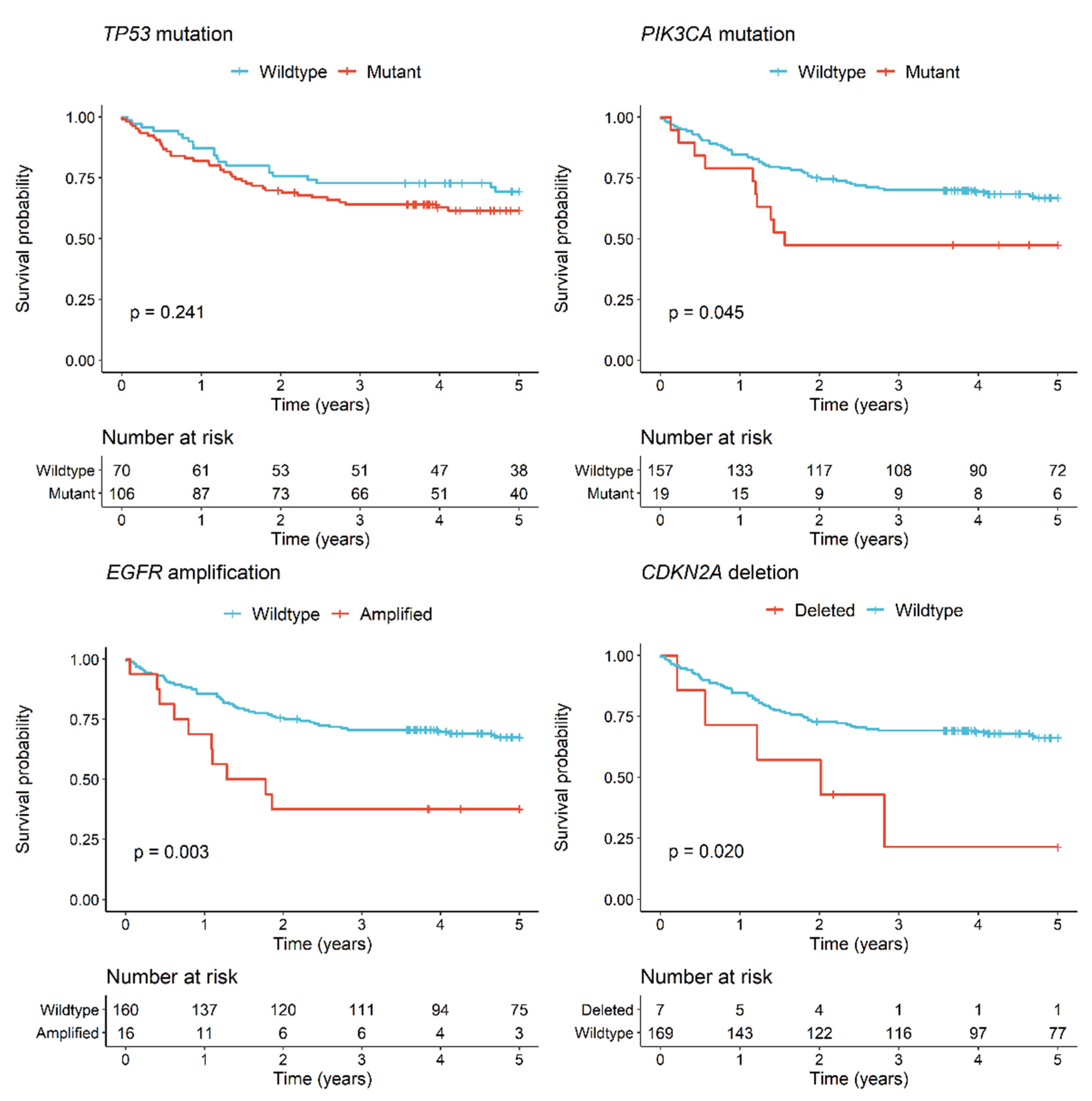 Cancers 13 01029 g005 Cancers 13 01029 g005