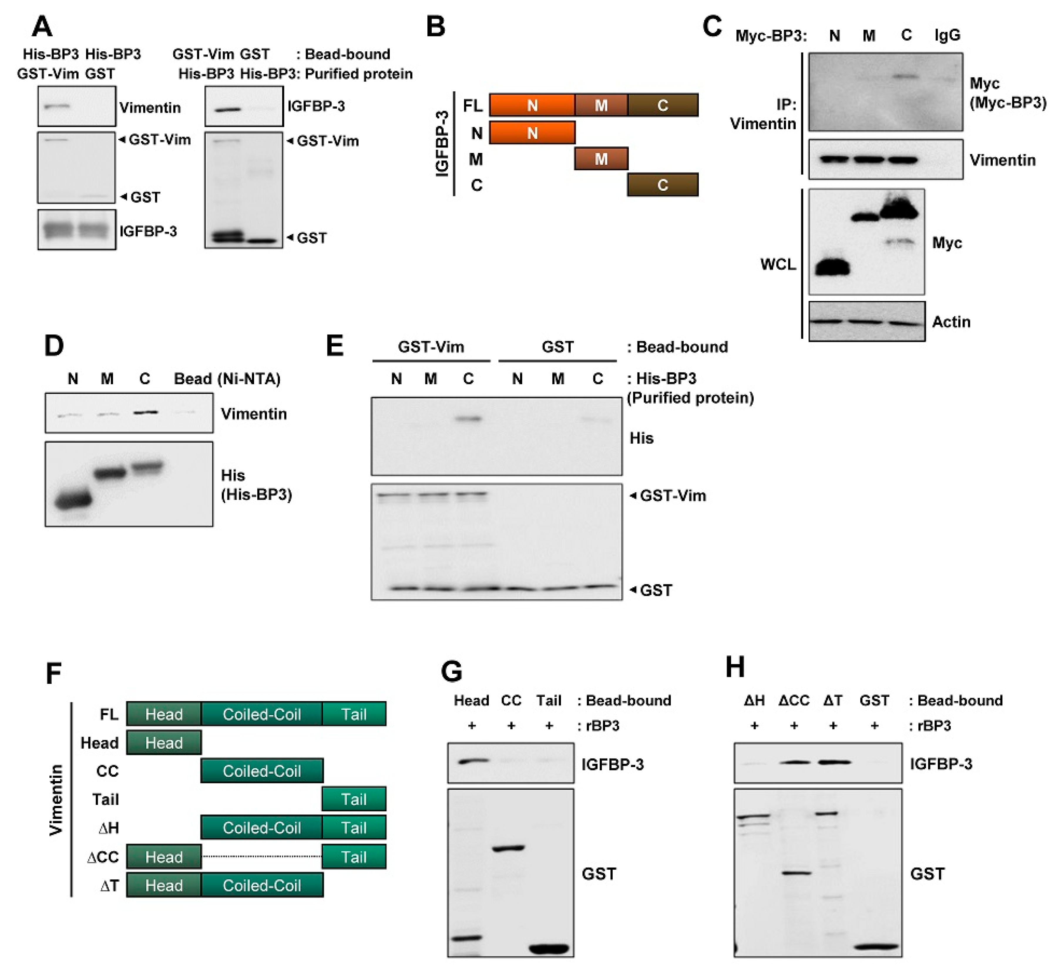 Cancers 13 01041 g005