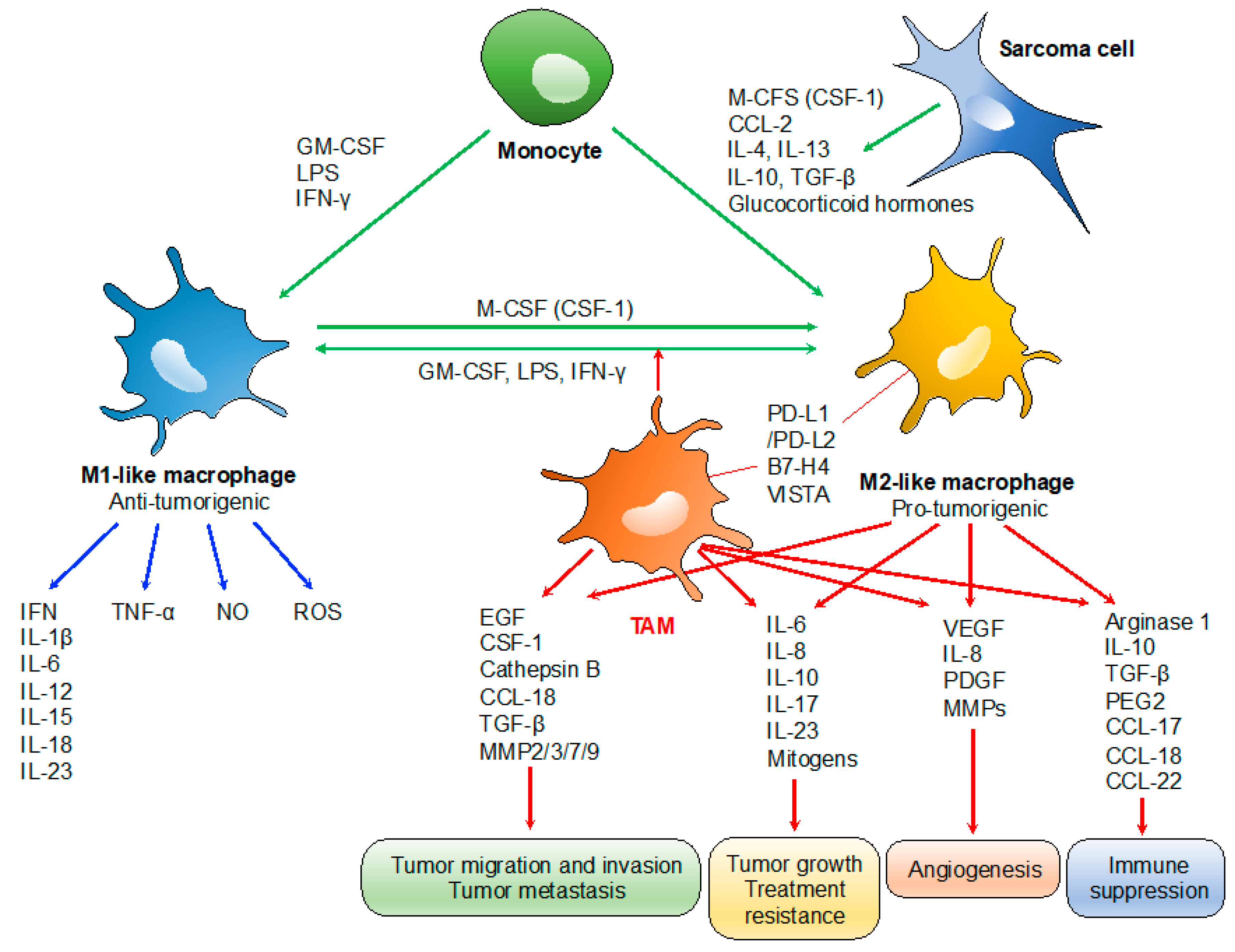 Cancers 13 01086 g001 Cancers 13 01086 g001