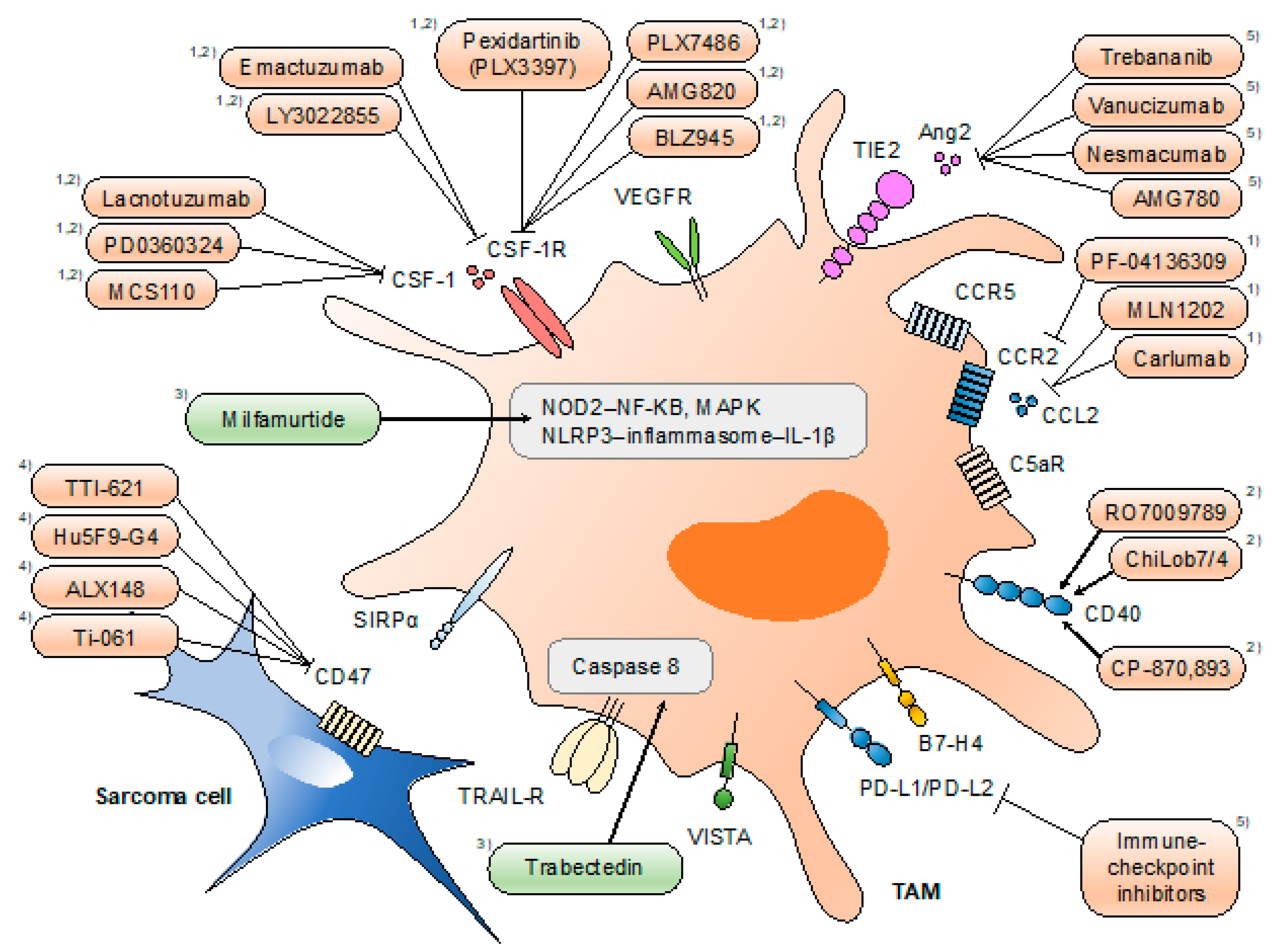 Cancers 13 01086 g002 Cancers 13 01086 g002