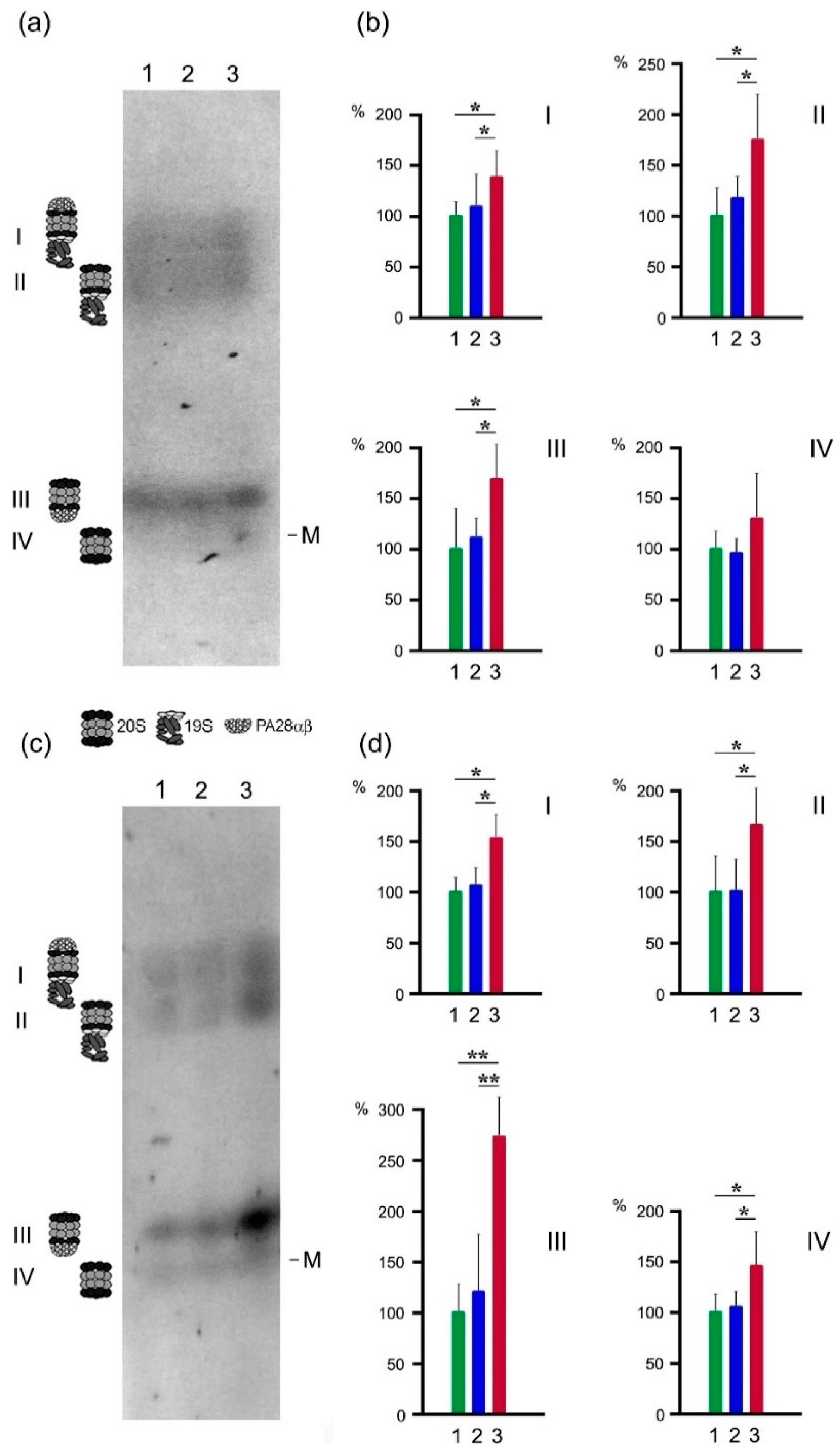 Cancers 13 01108 g004