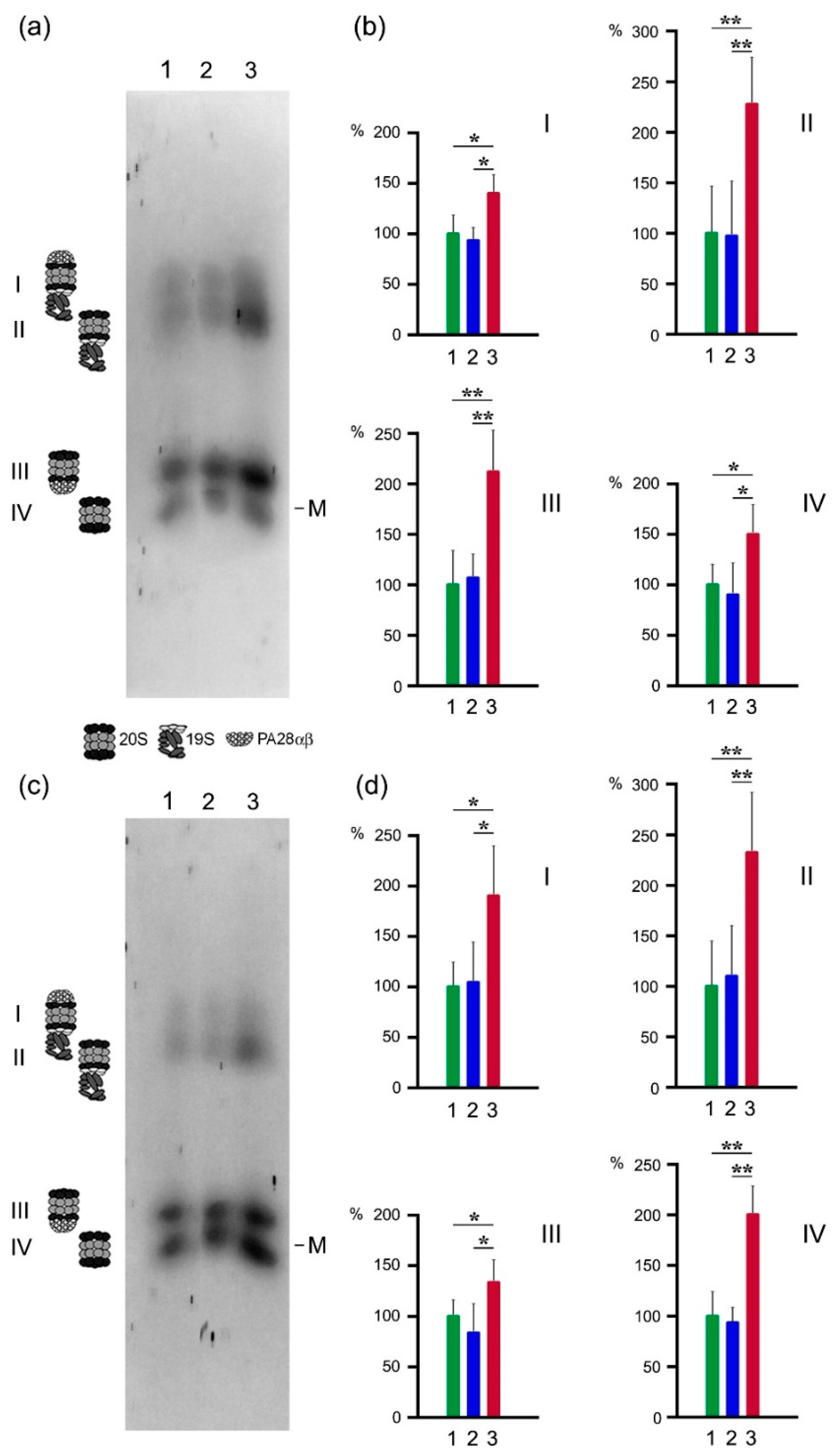 Cancers 13 01108 g005