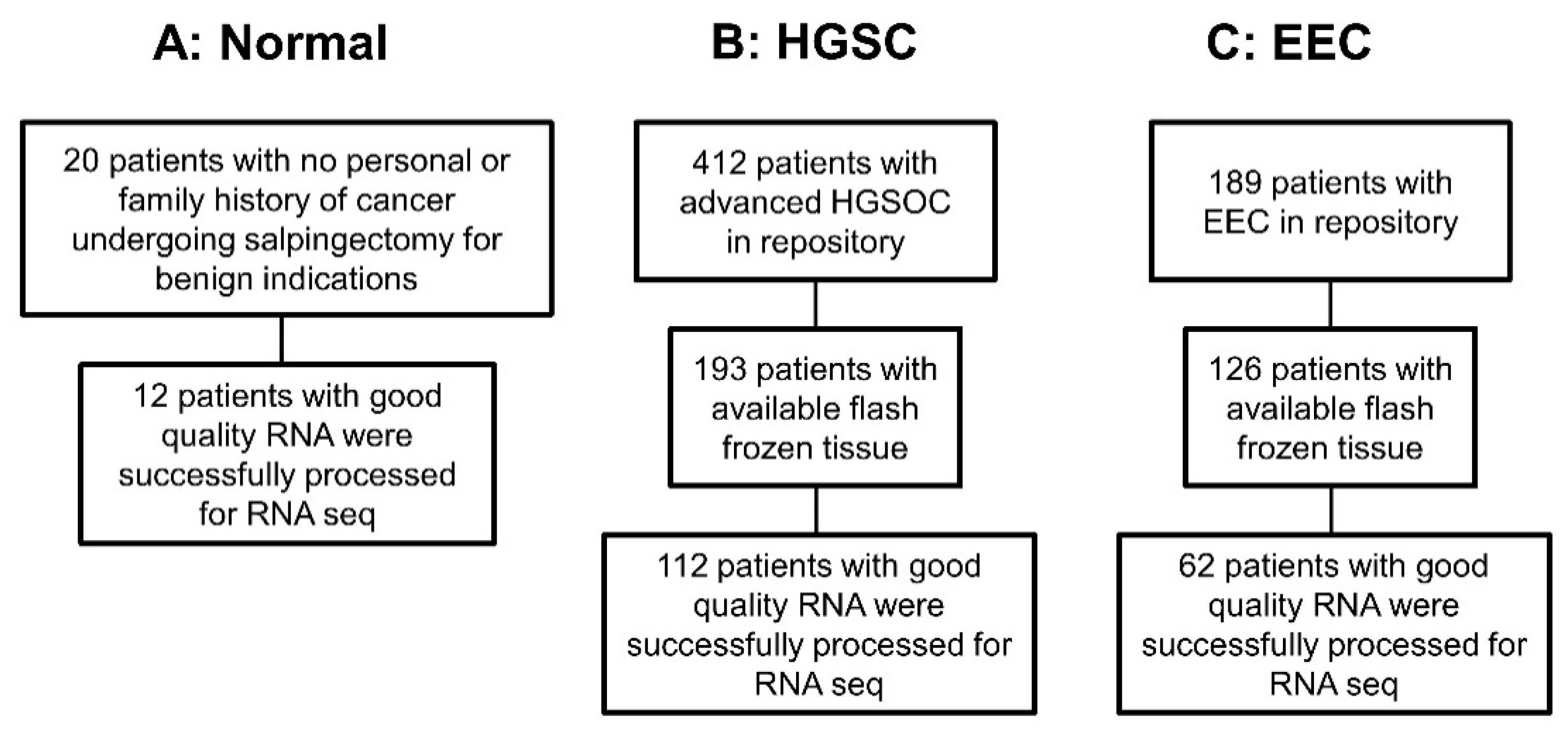 Cancers Free Full Text Bacterial Archaea And Viral Transcripts Bavt Expression In Gynecological Cancers And Correlation With Regulatory Regions Of The Genome Html