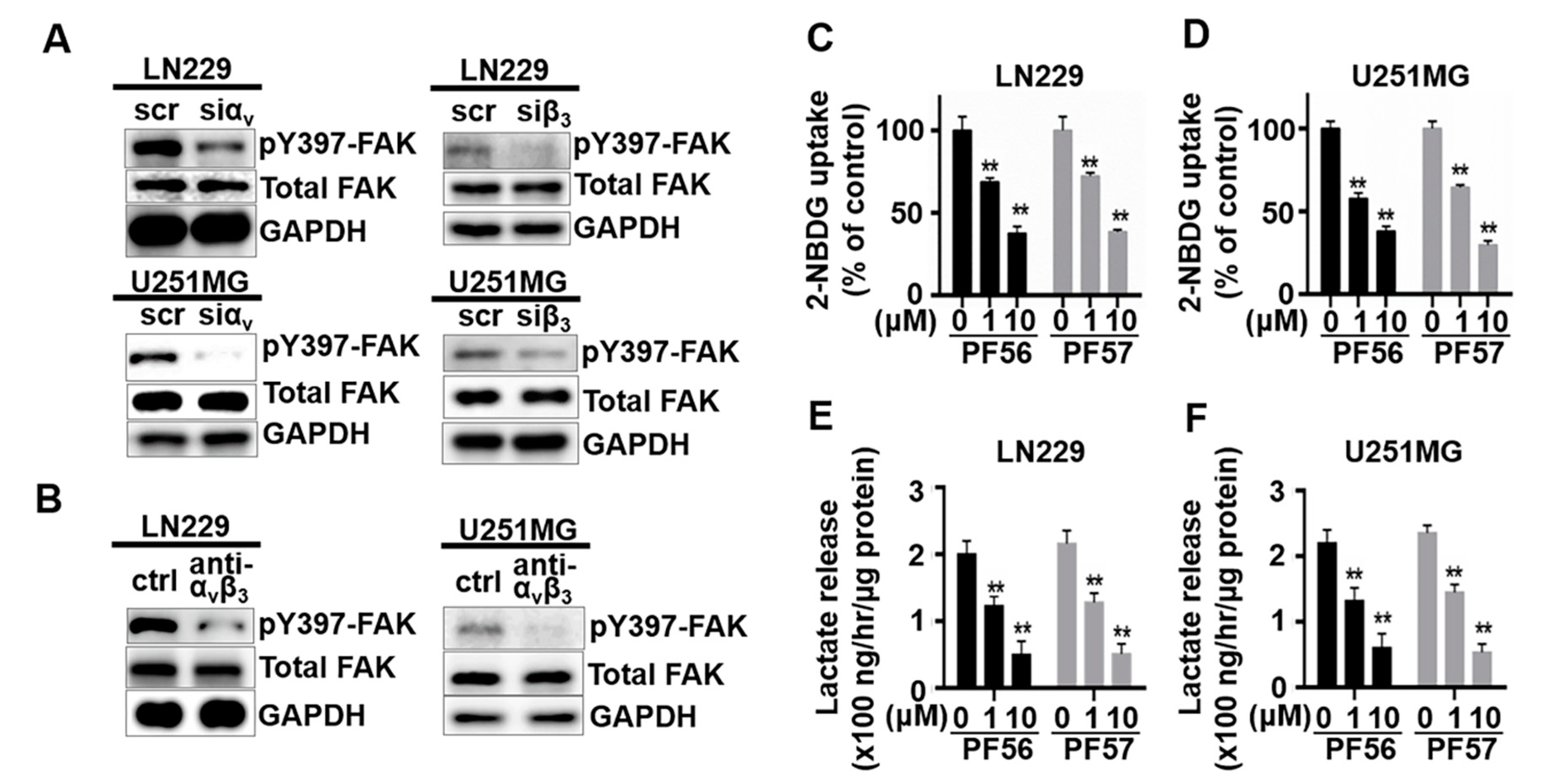 Cancers 13 01111 g003