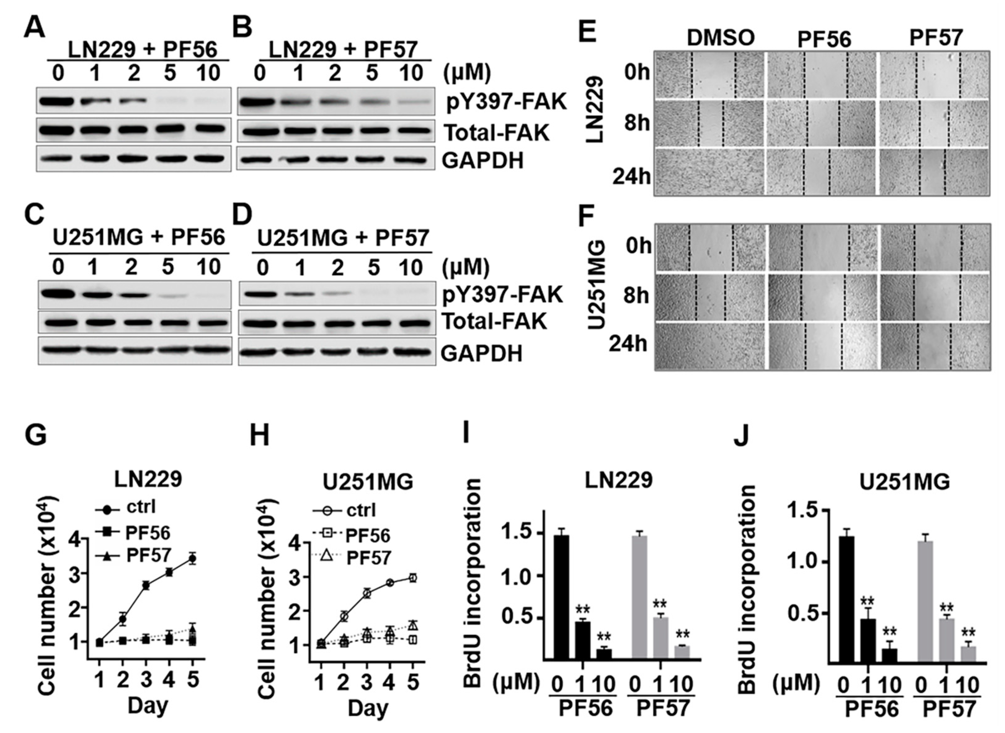 Cancers 13 01111 g005