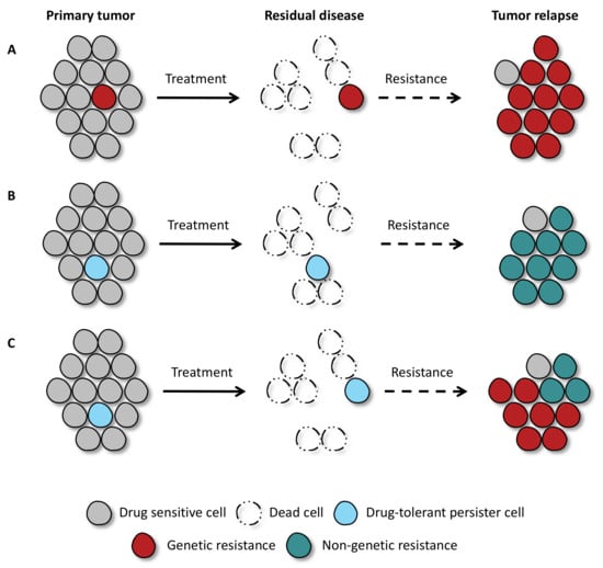 Cancers | Free Full-Text | Fighting Drug Resistance through the Targeting  of Drug-Tolerant Persister Cells | HTML
