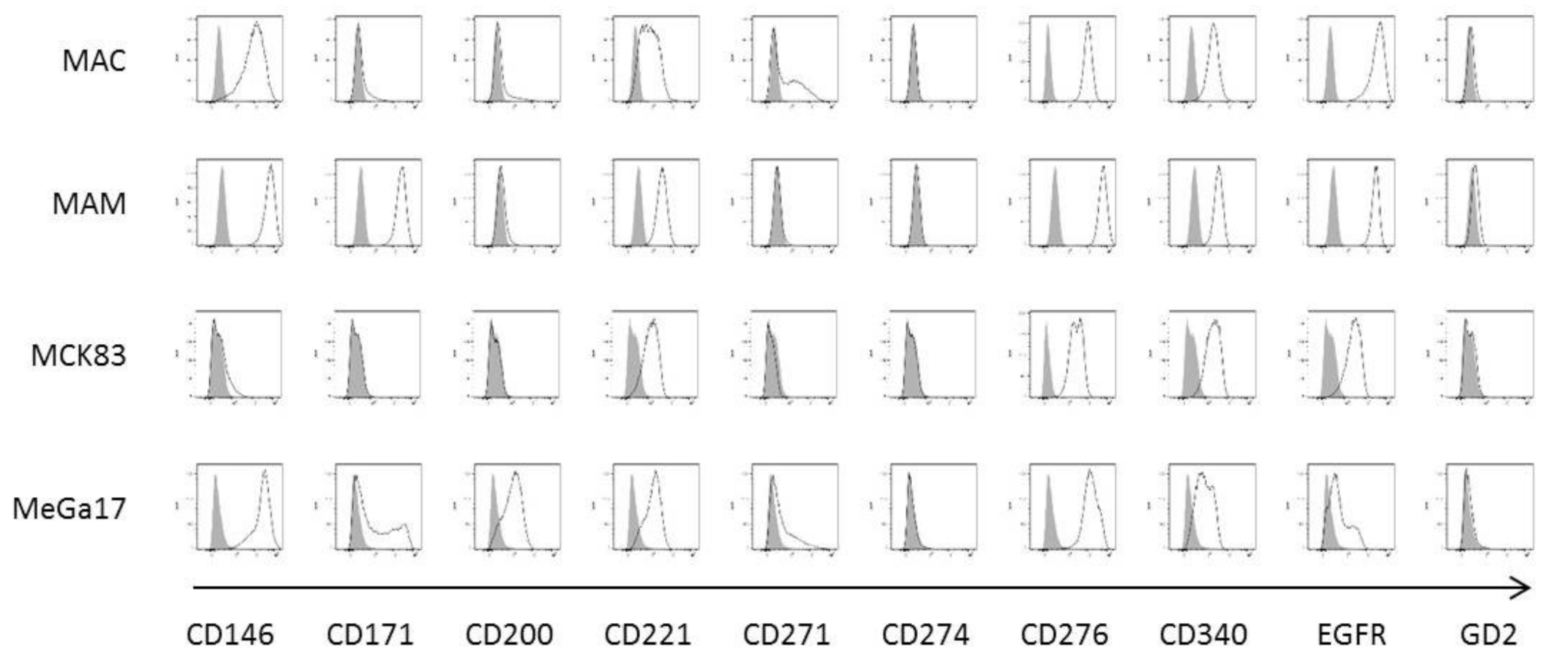 Cancers 13 01124 g001