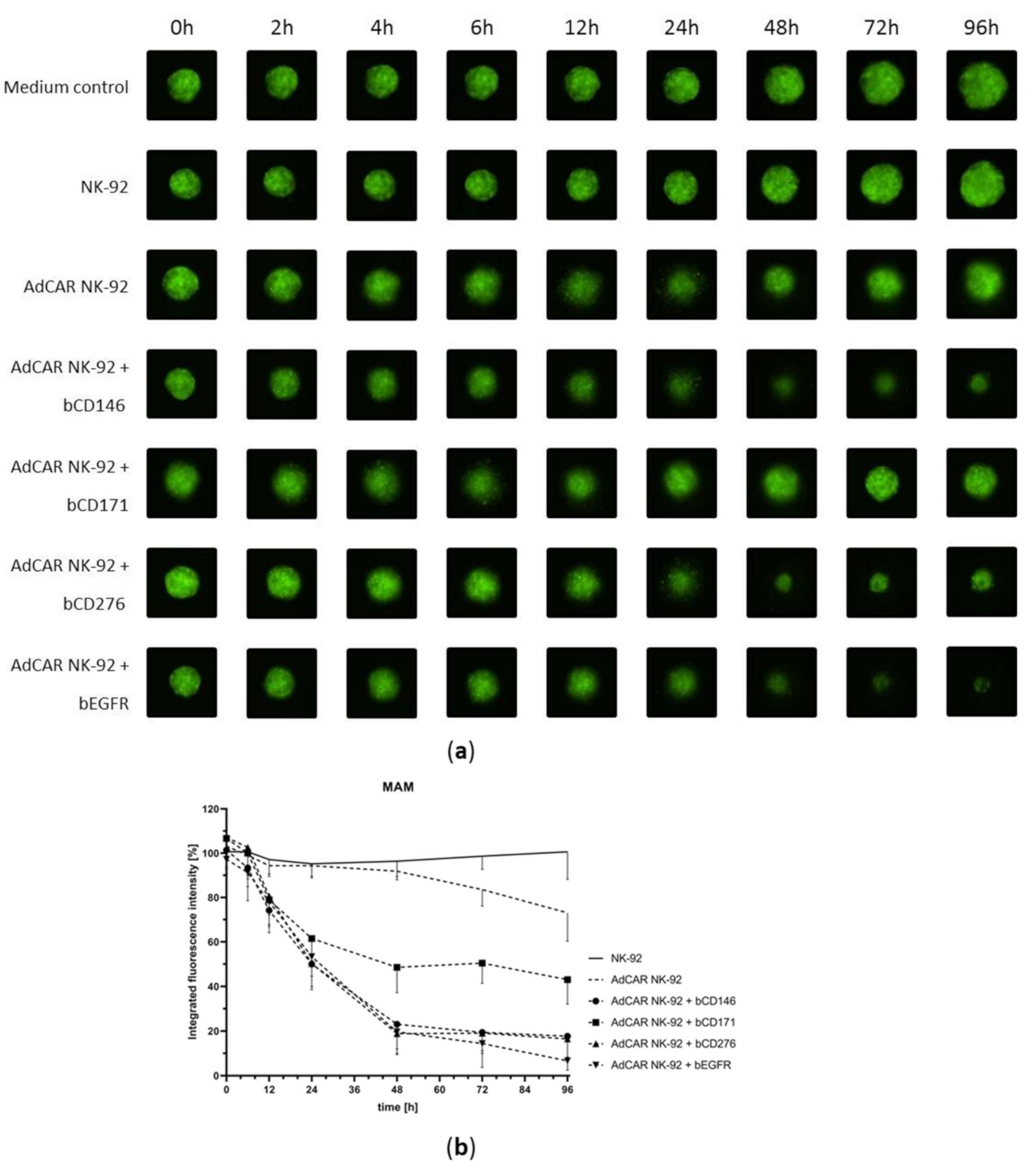 Cancers 13 01124 g005