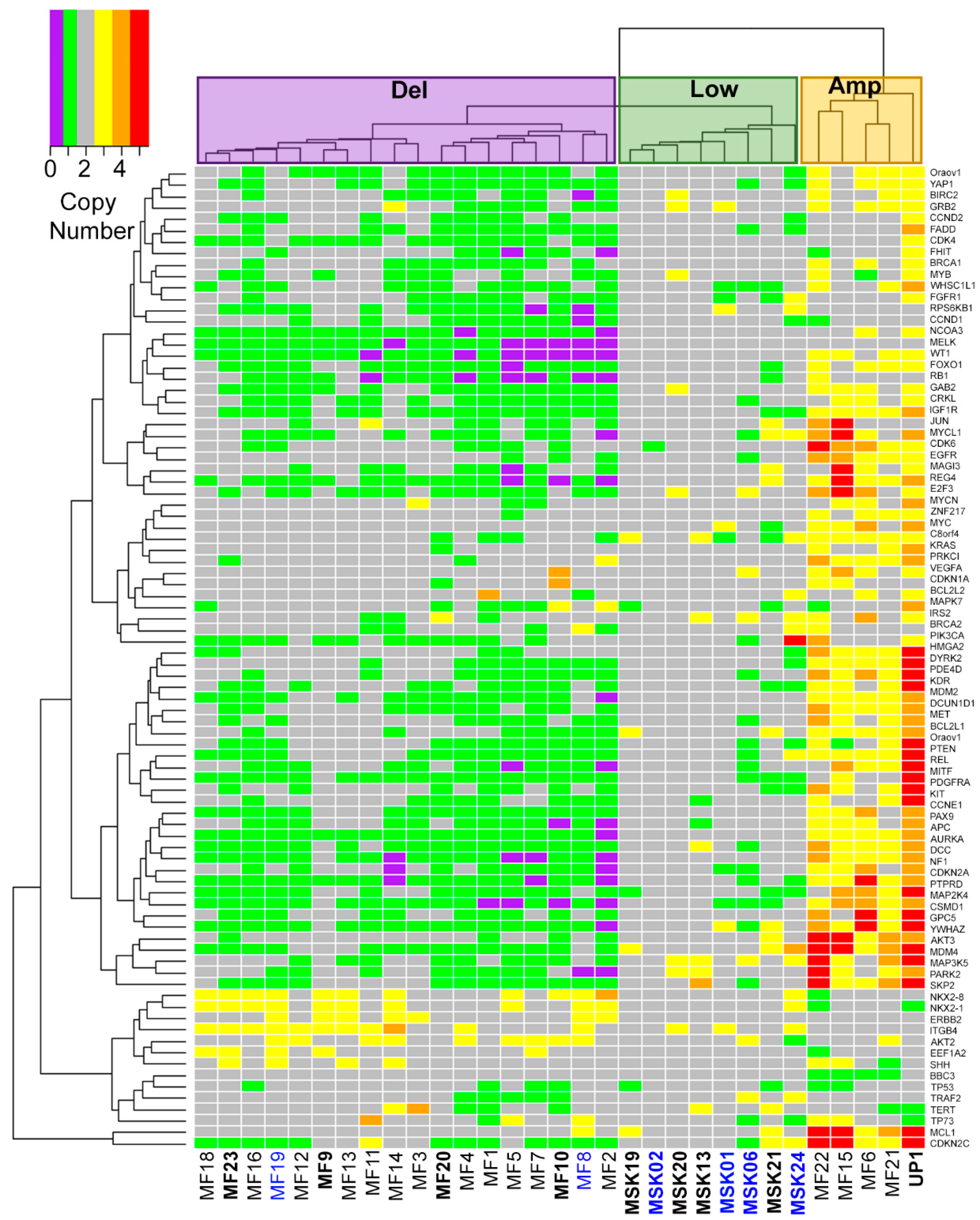 Cancers 13 01134 g001