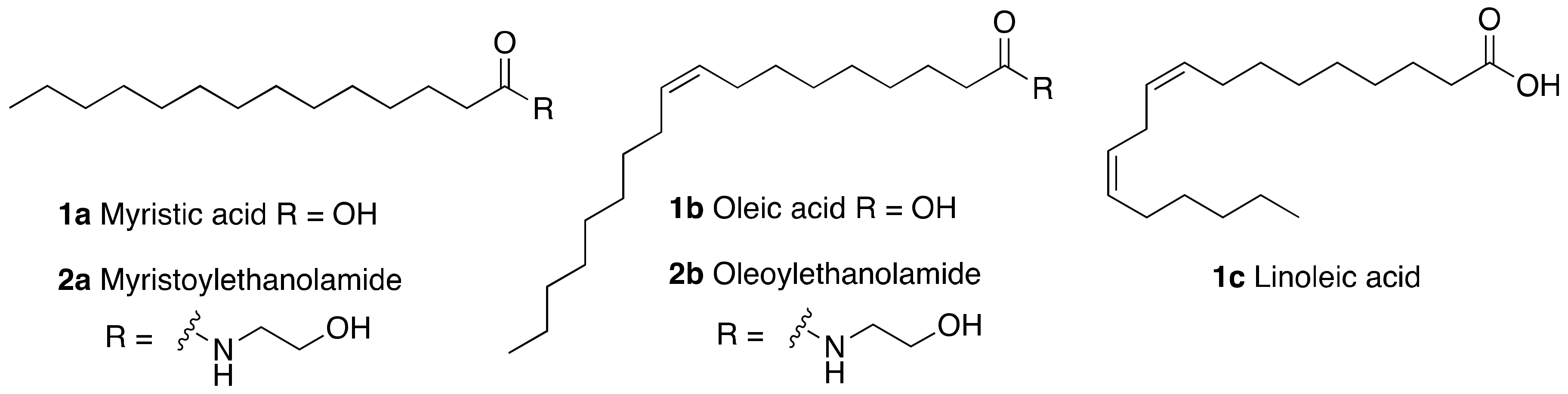 Cancers 13 01156 g002