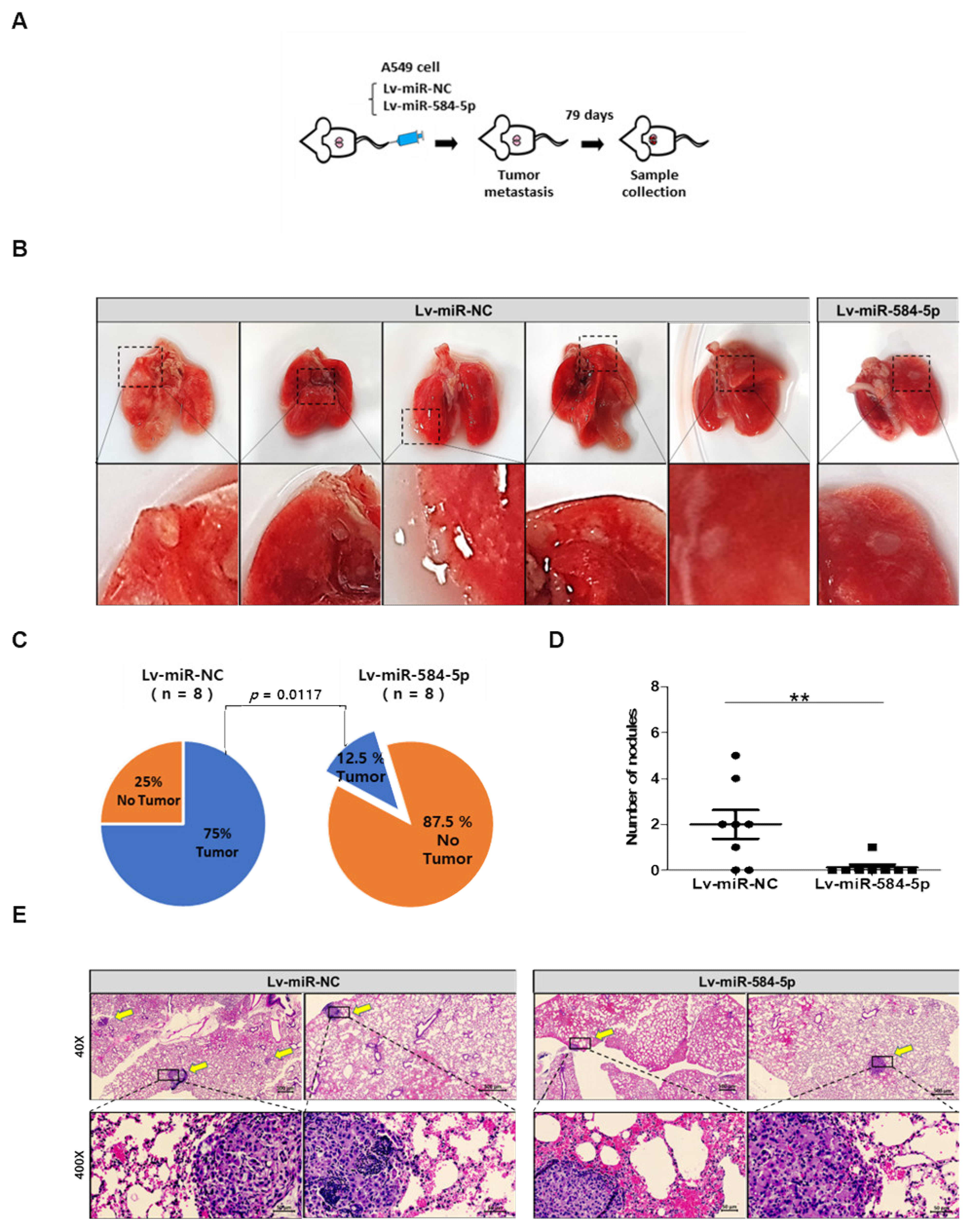 Cancers 13 01159 g006