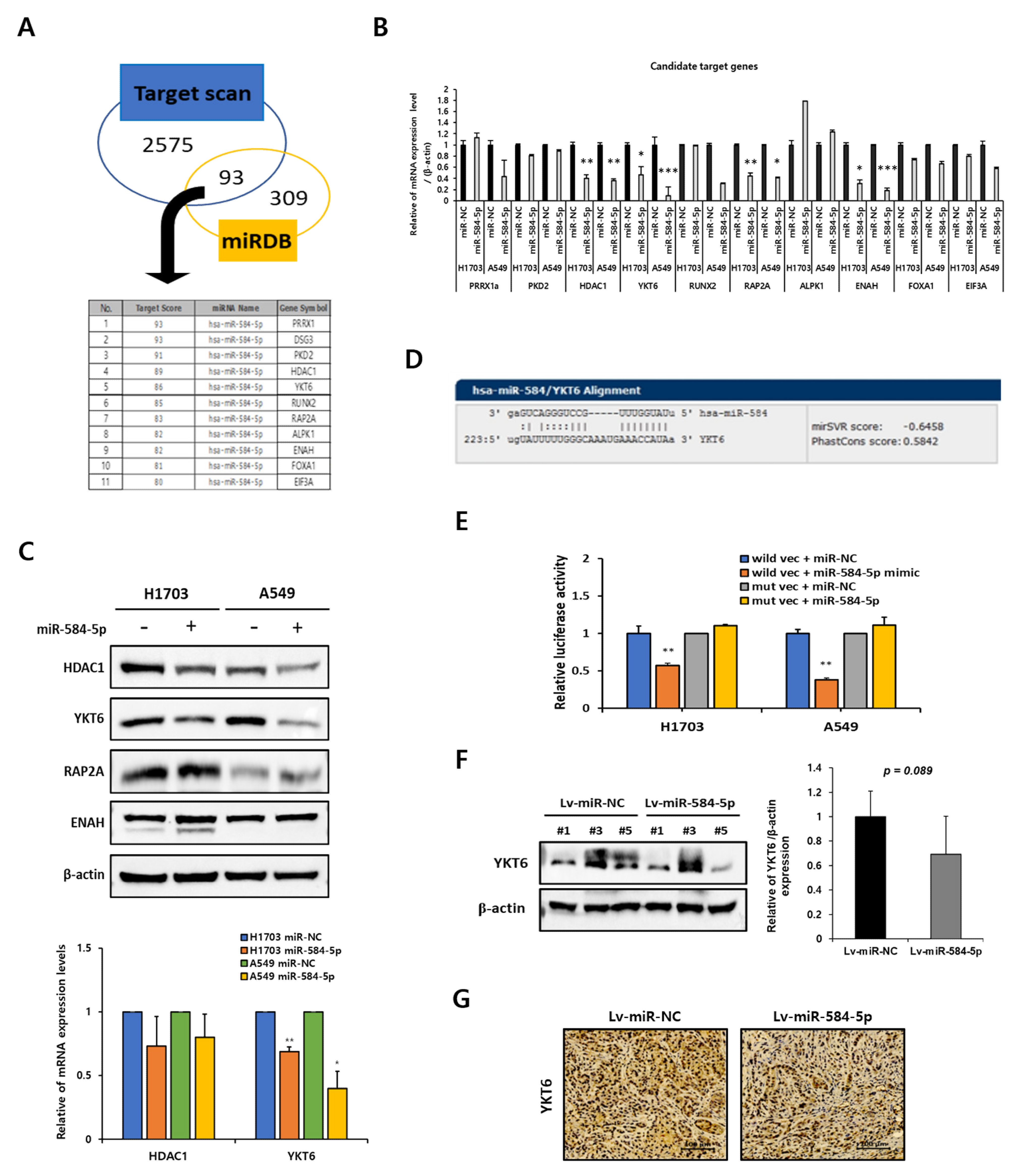 Cancers 13 01159 g007