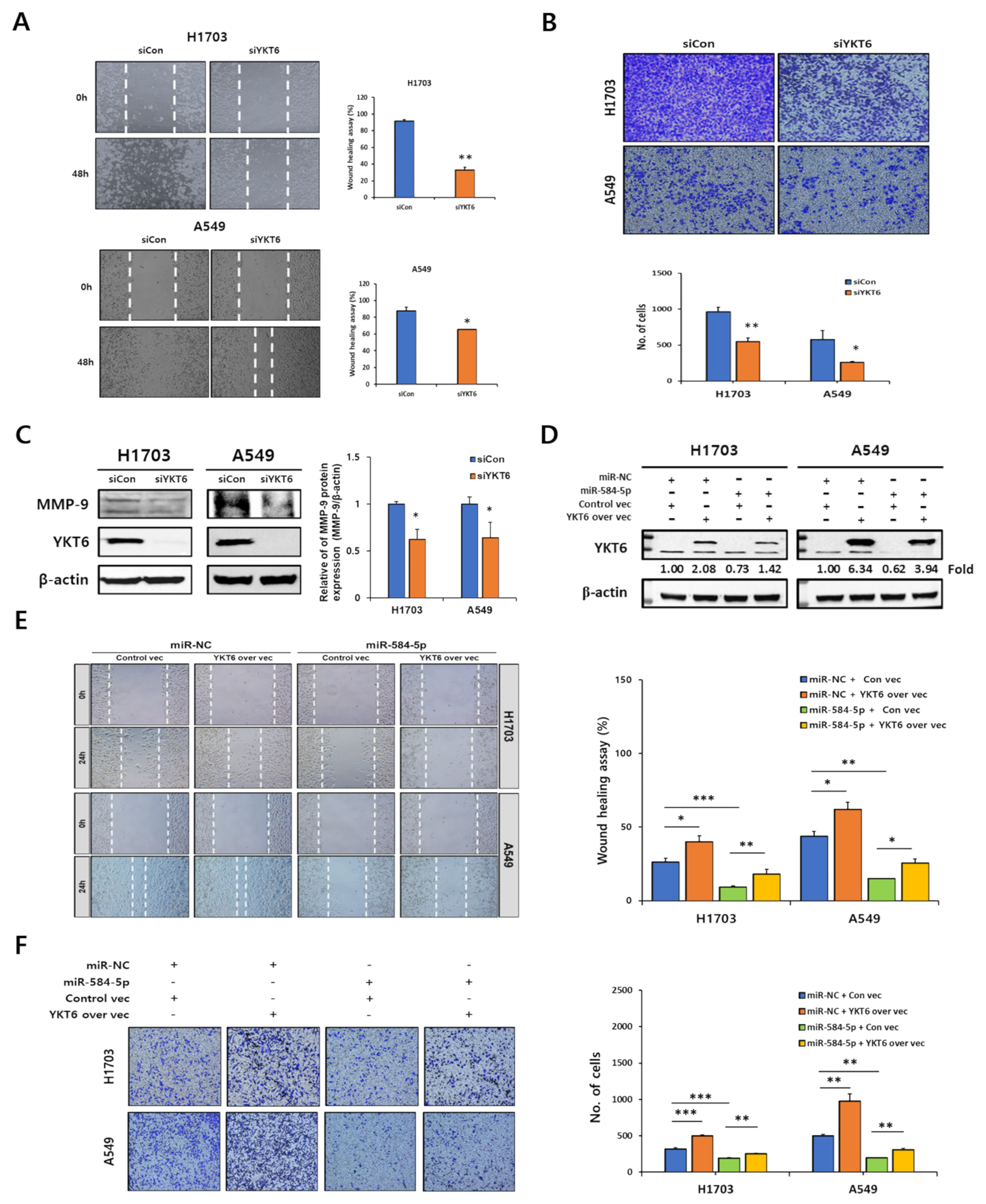 Cancers 13 01159 g008