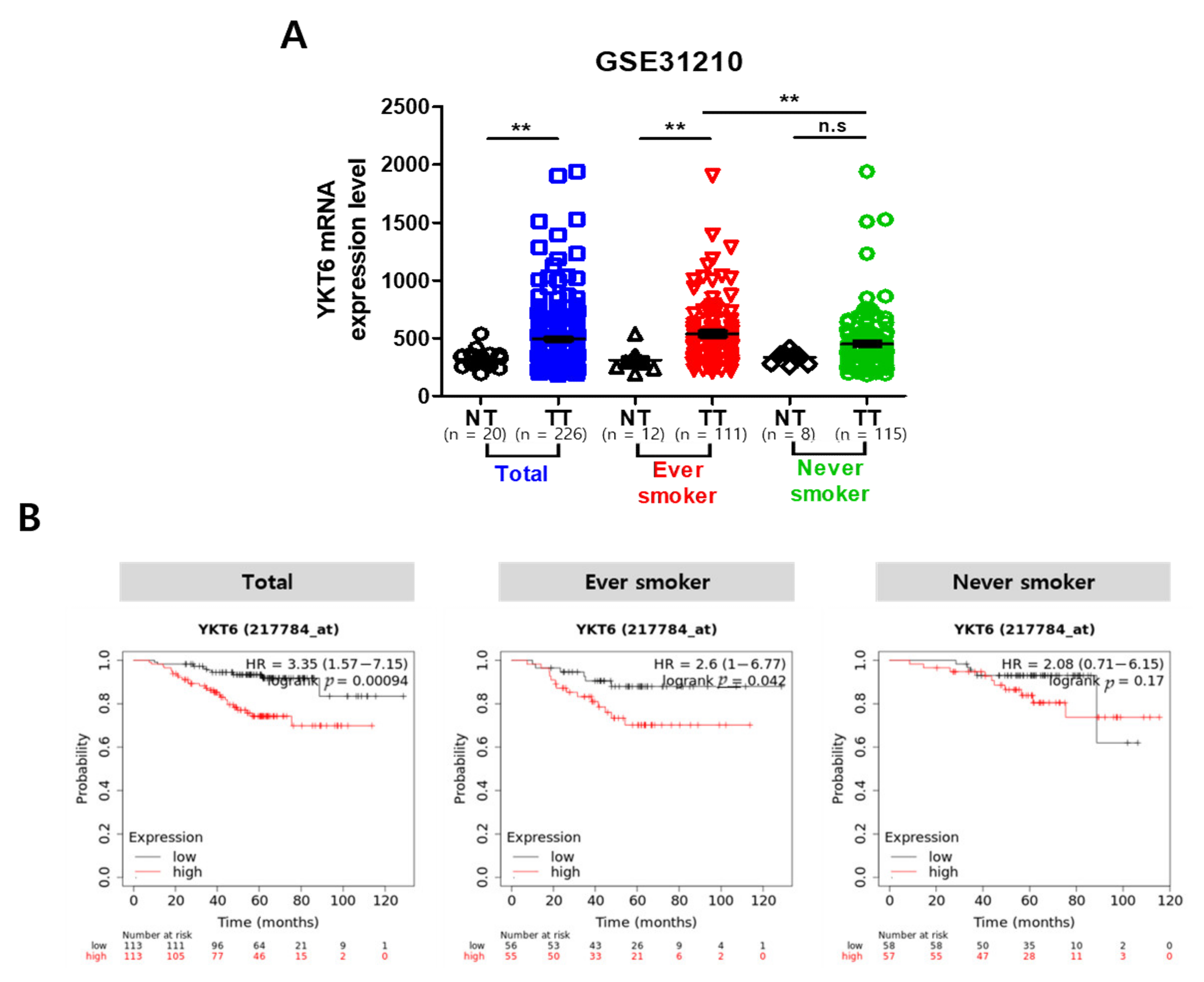 Cancers 13 01159 g009