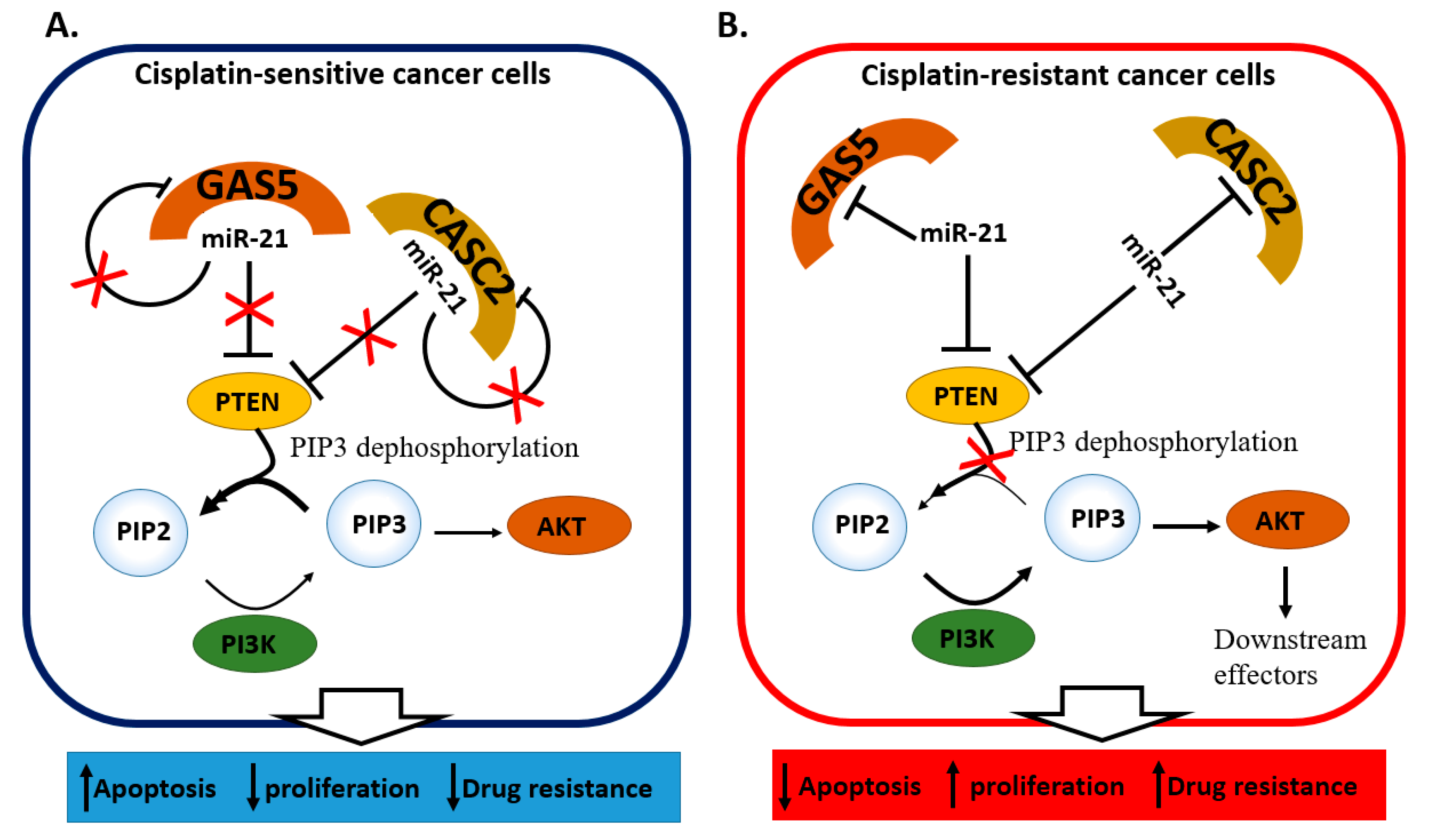 Cancers 13 01168 g004a