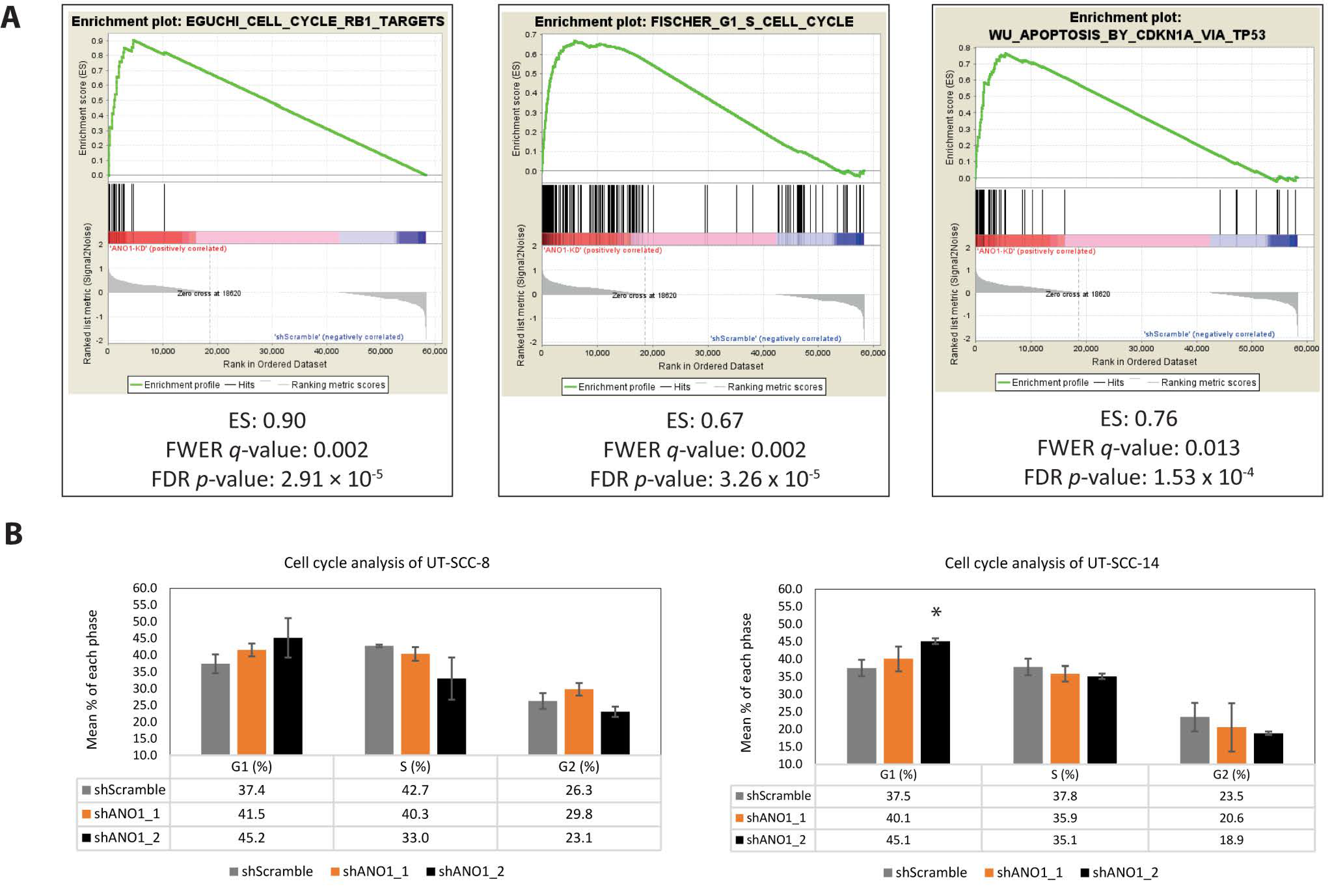 Cancers 13 01170 g003 Cancers 13 01170 g003
