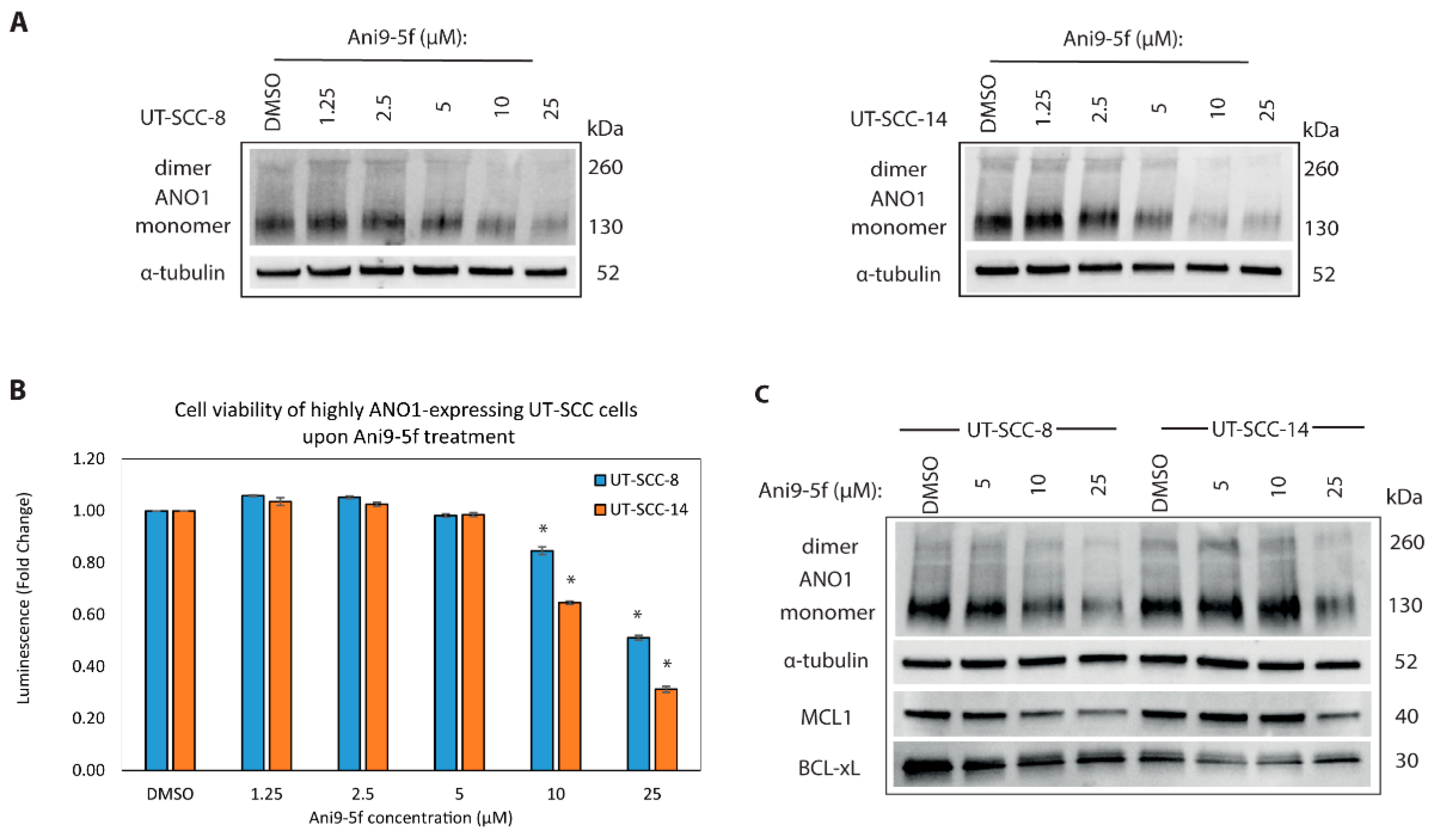 Cancers 13 01170 g005 Cancers 13 01170 g005
