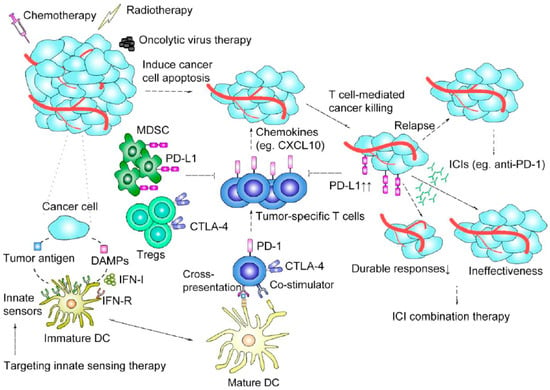 Cancers | Free Full-Text | Targeting The Tumor Microenvironment For ...